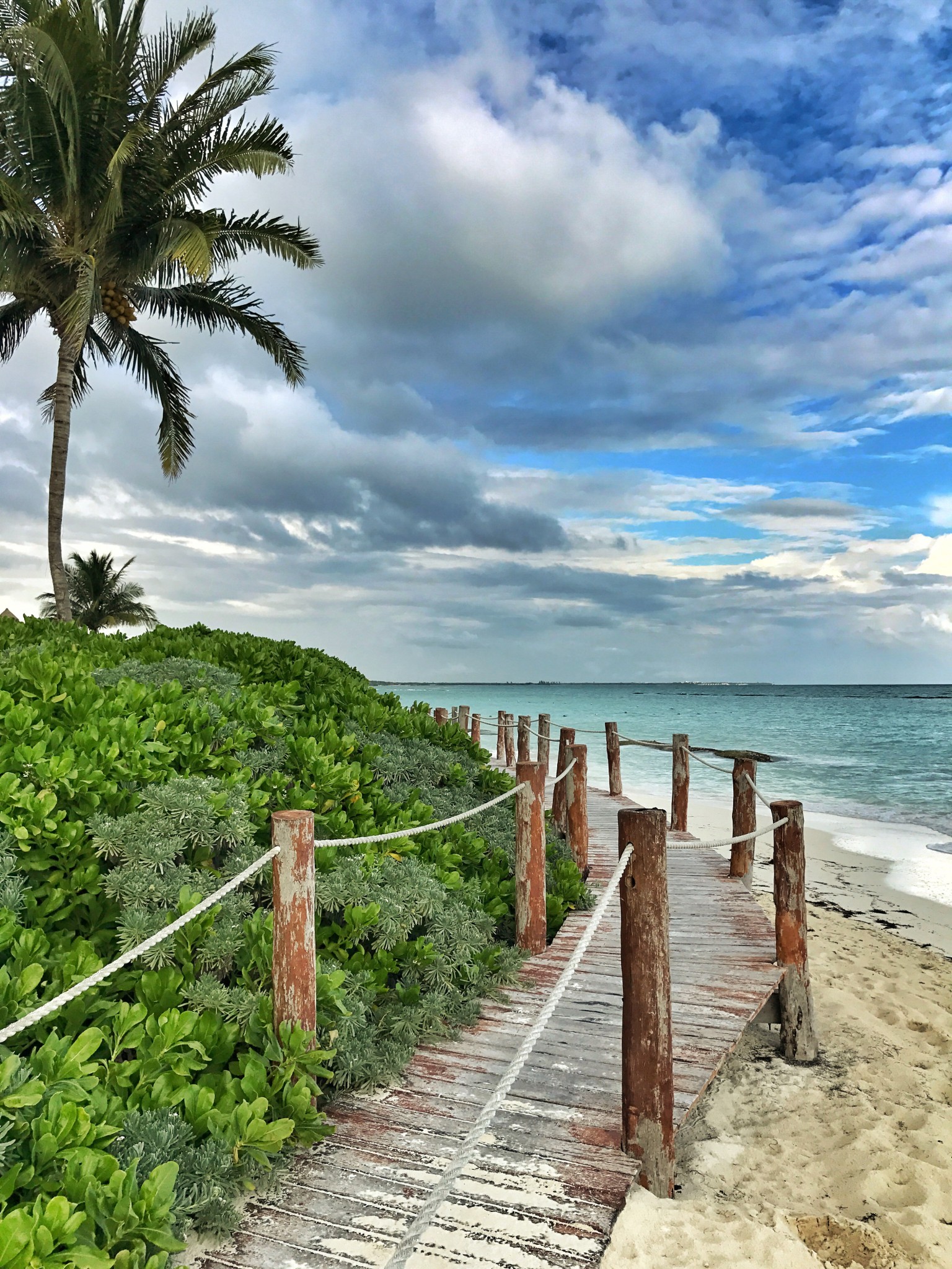 fairmont mayakoba, the-alyst.com