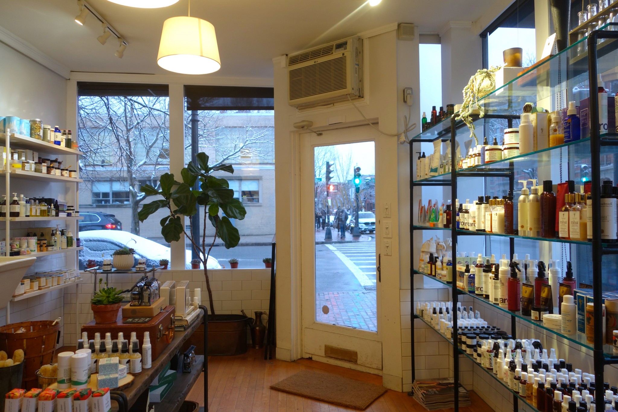 follain, south end boston, the-alyst.com