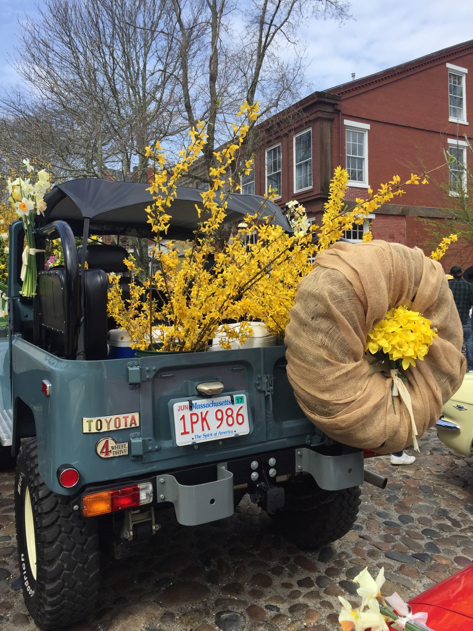 nantucket daffodil festival, the-alyst.com