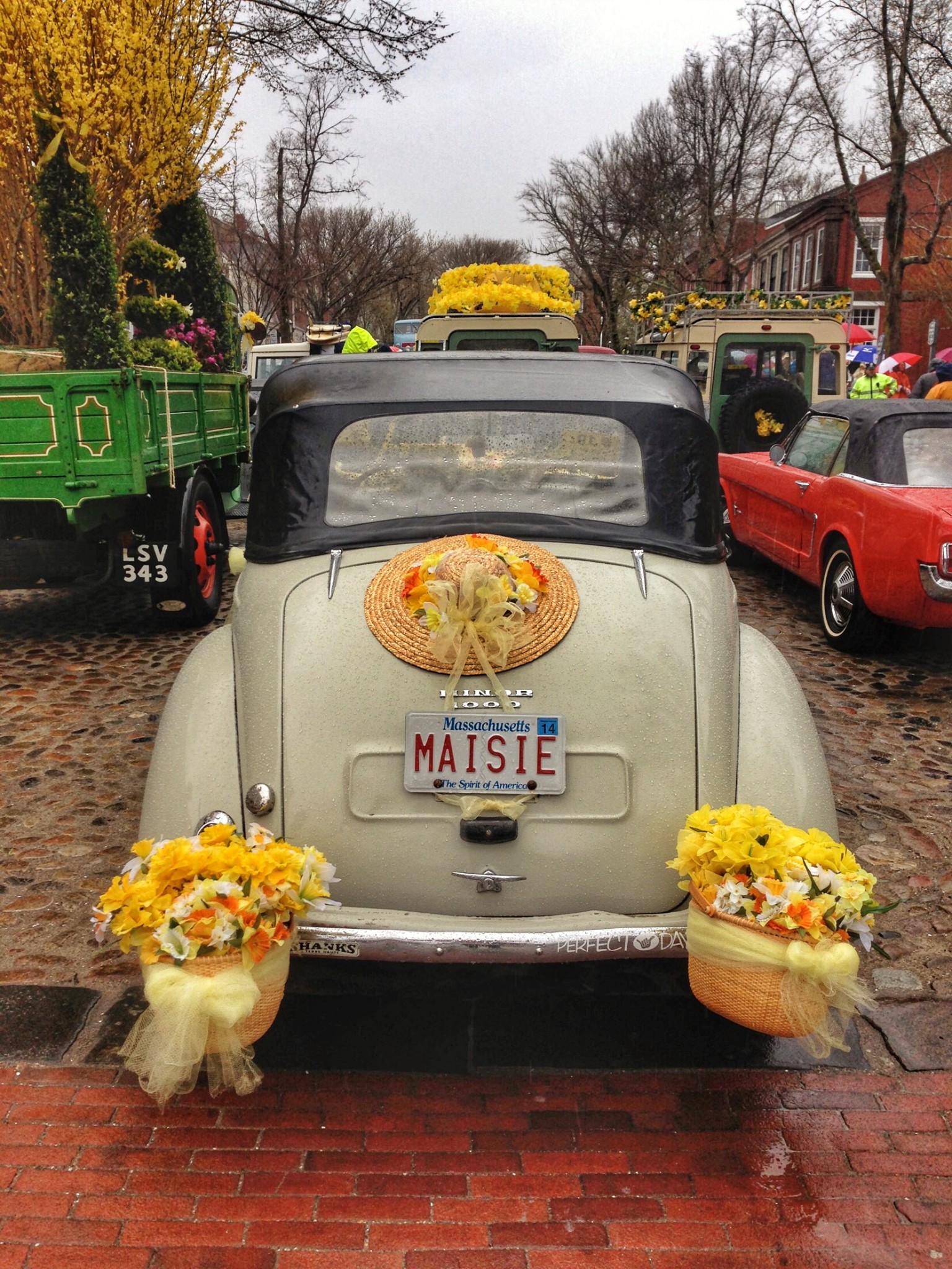 nantucket daffodil festival, the-alyst.com