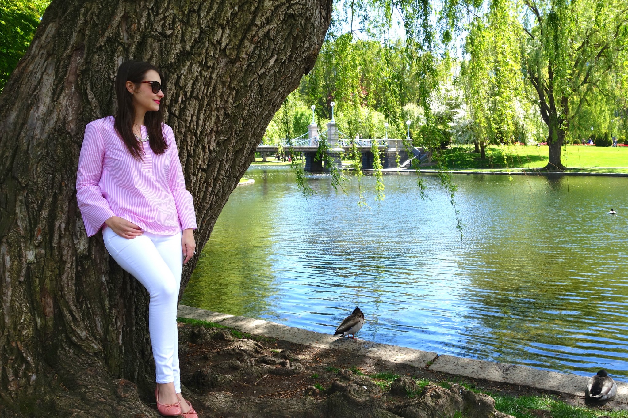 boston public garden, the-alyst.com