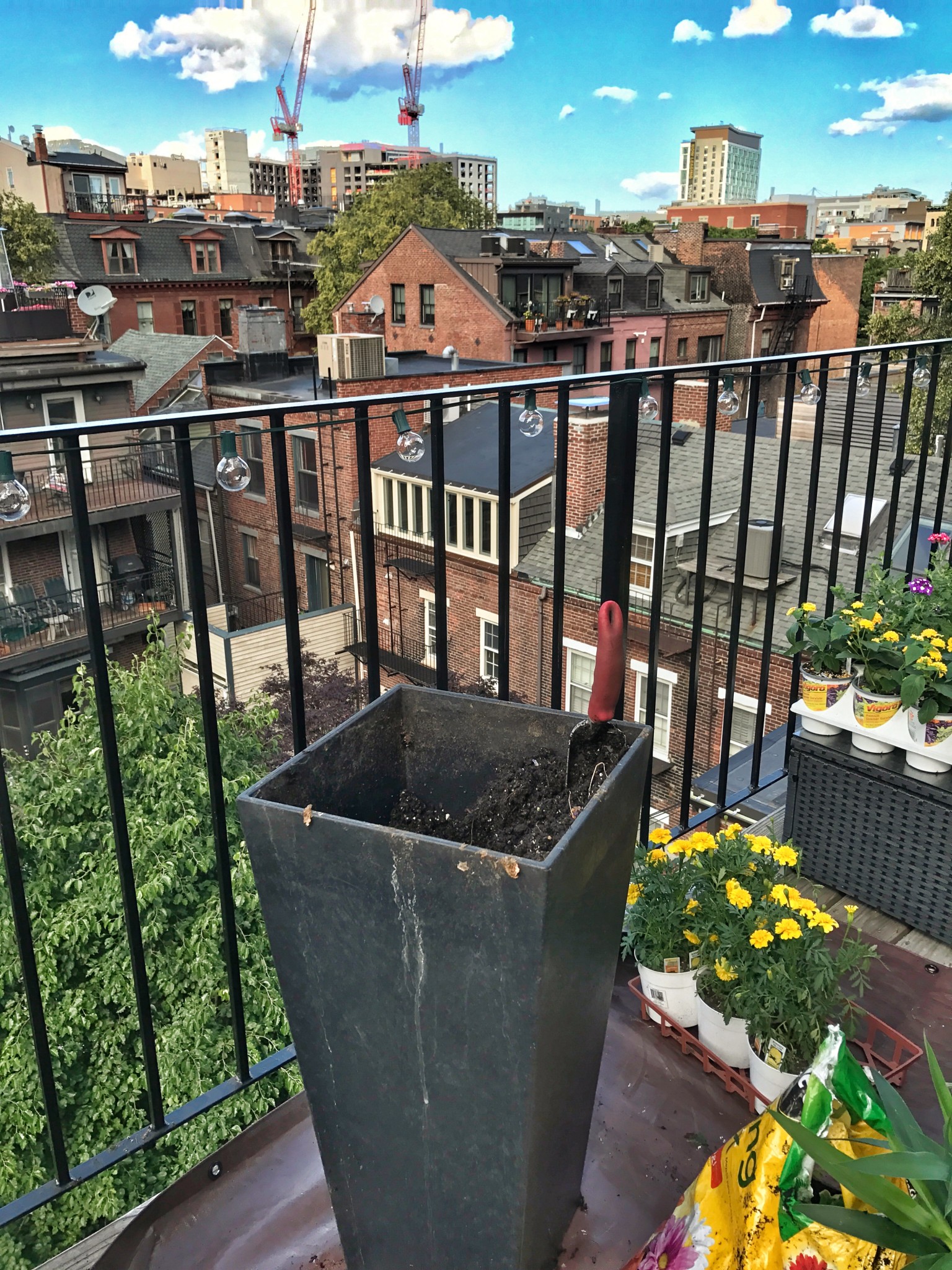 IMG_8849urban garden, boston, balcony garden, the-alyst.com