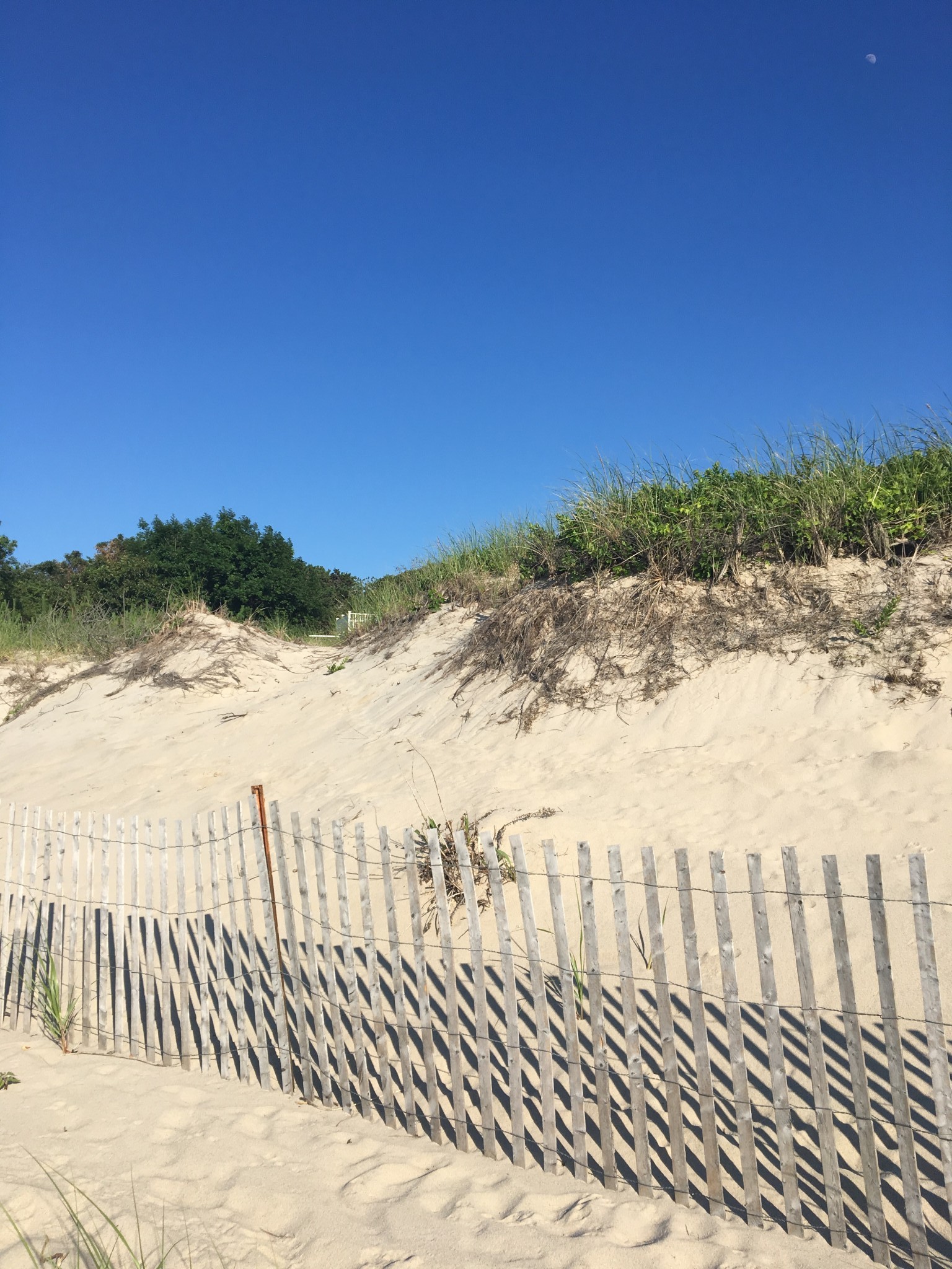 summer beauty, summer skincare, the-alyst.com