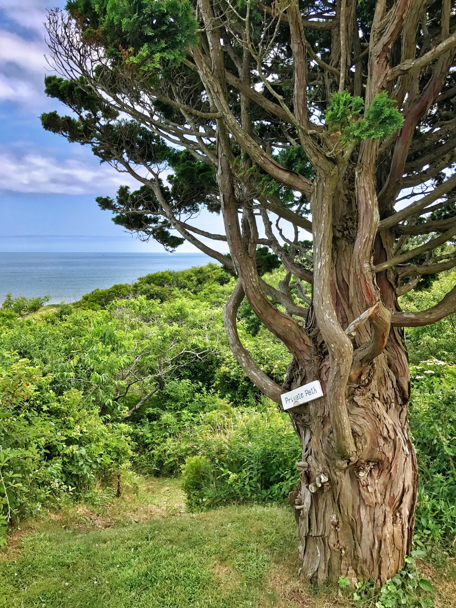 nantucket, what to do on nantucket, the-alyst.com