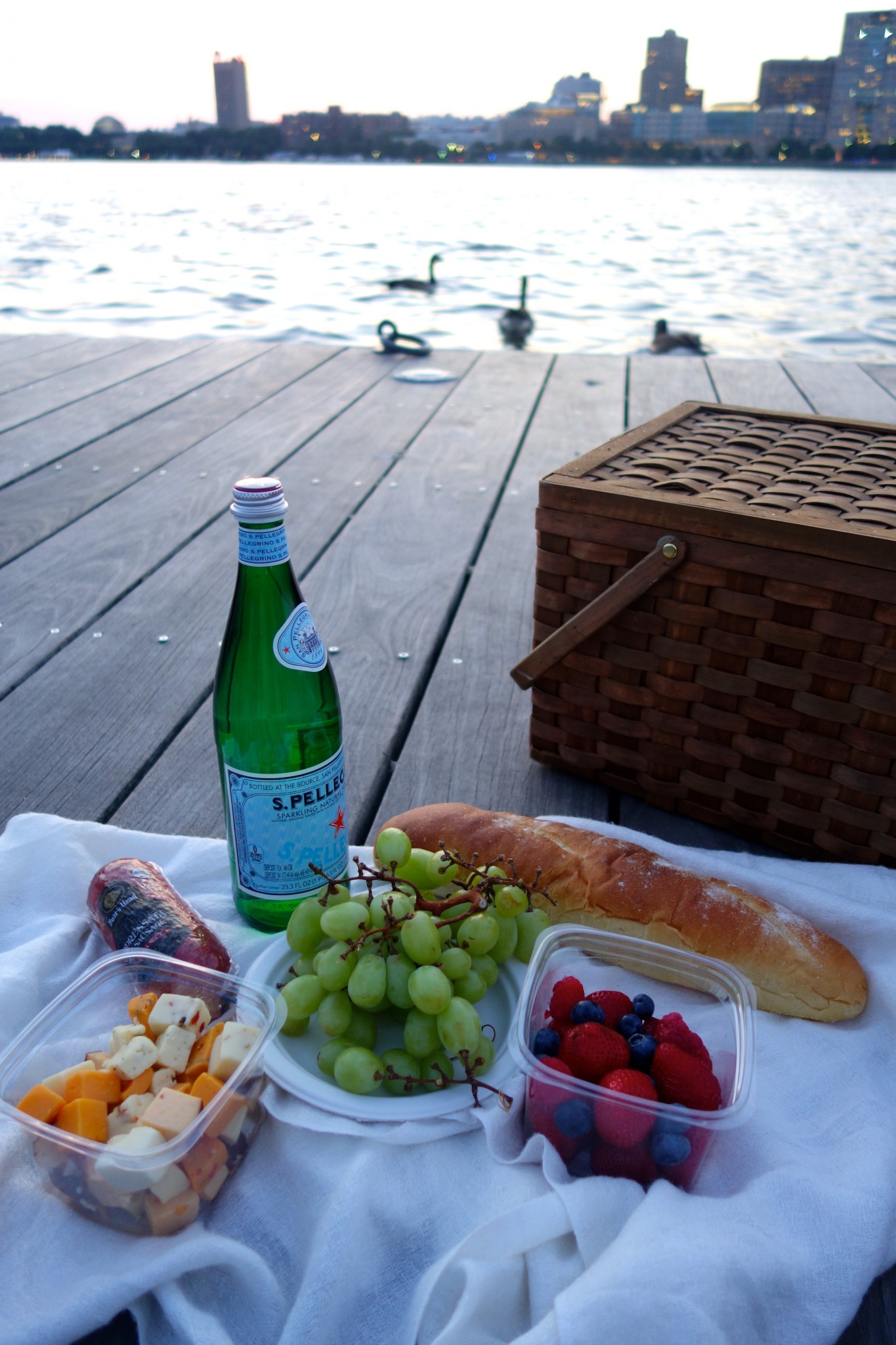 best places to watch the sunset in boston, charles river esplanade, the-alyst.com
