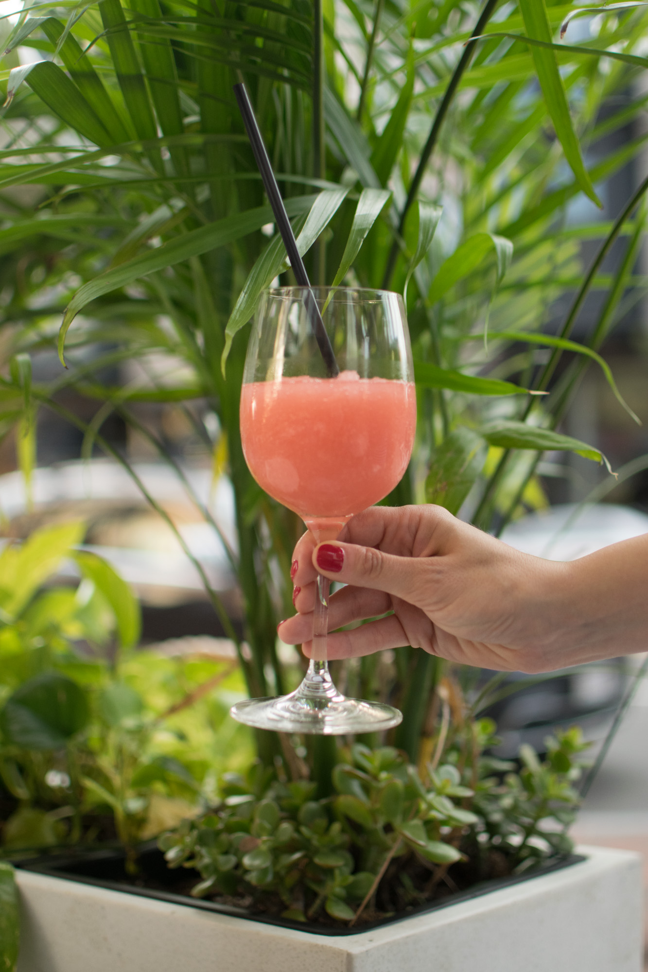 frose, frenchie boston, the-alyst.com