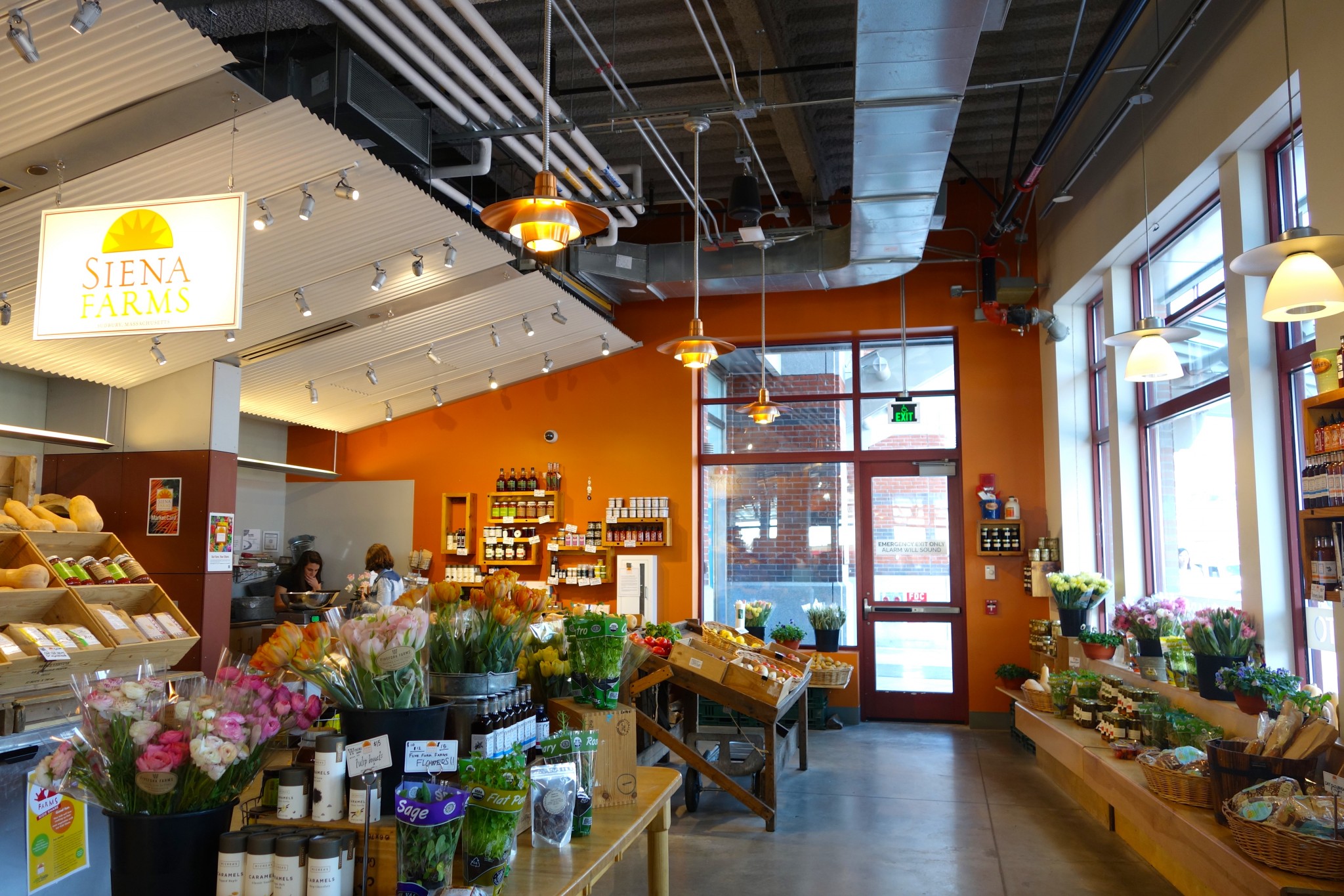 boston public market, siena farms, the-alyst.com