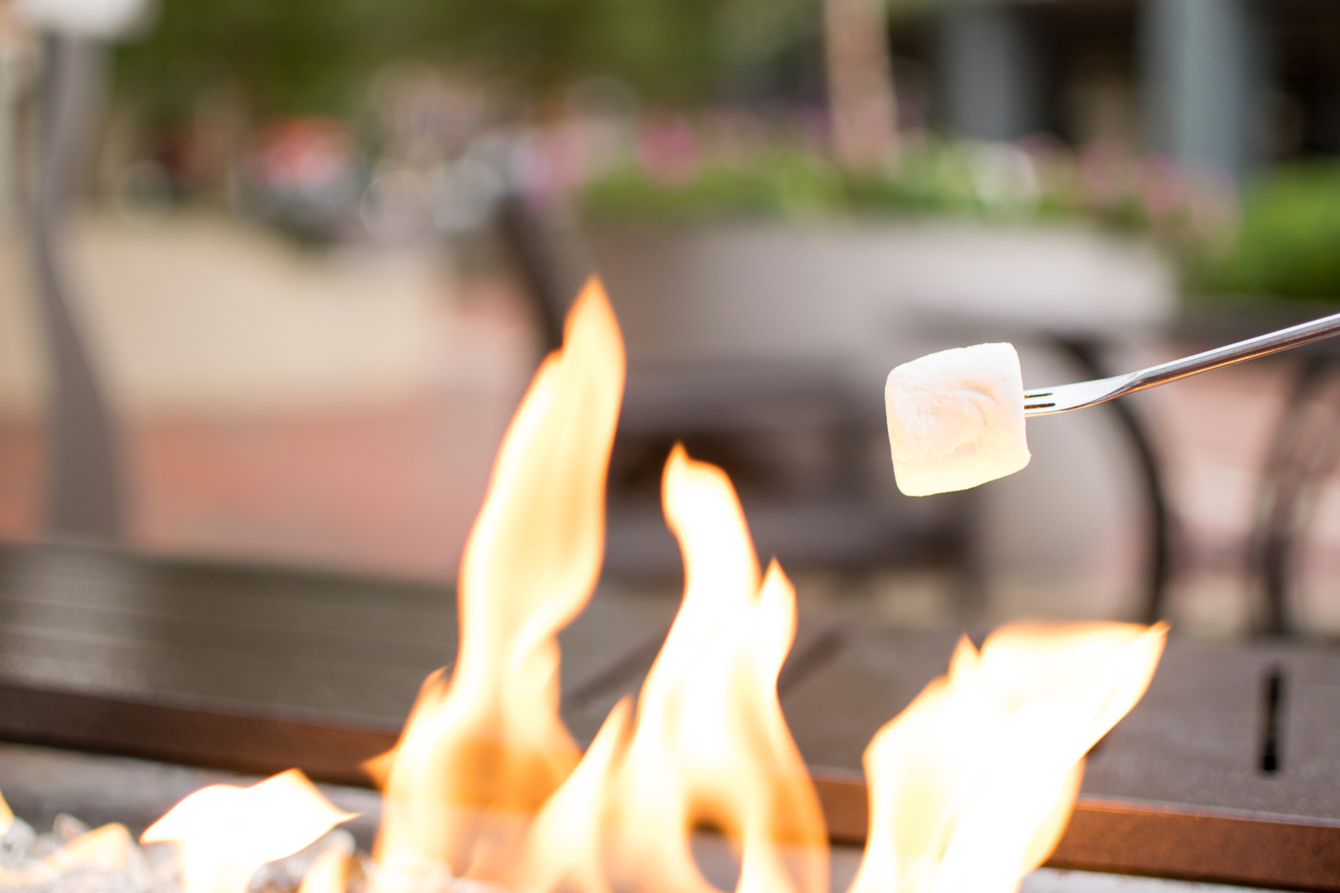 Restaurants with Outdoor Fire Pits in Boston, Aragosta Bar + Bistro, the-alyst.com