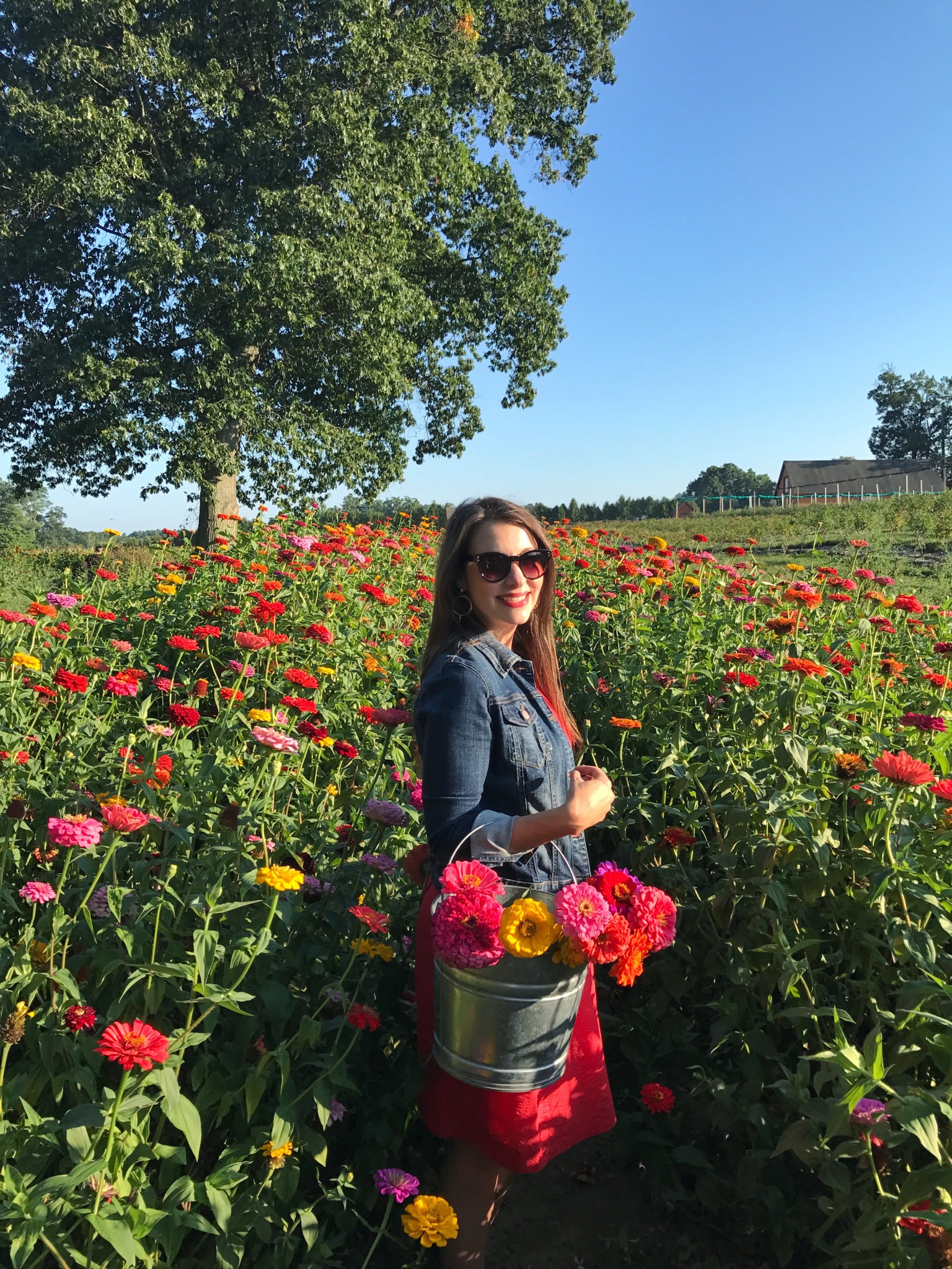 pick your flowers, parlee farms, flower farm, the-alyst.com