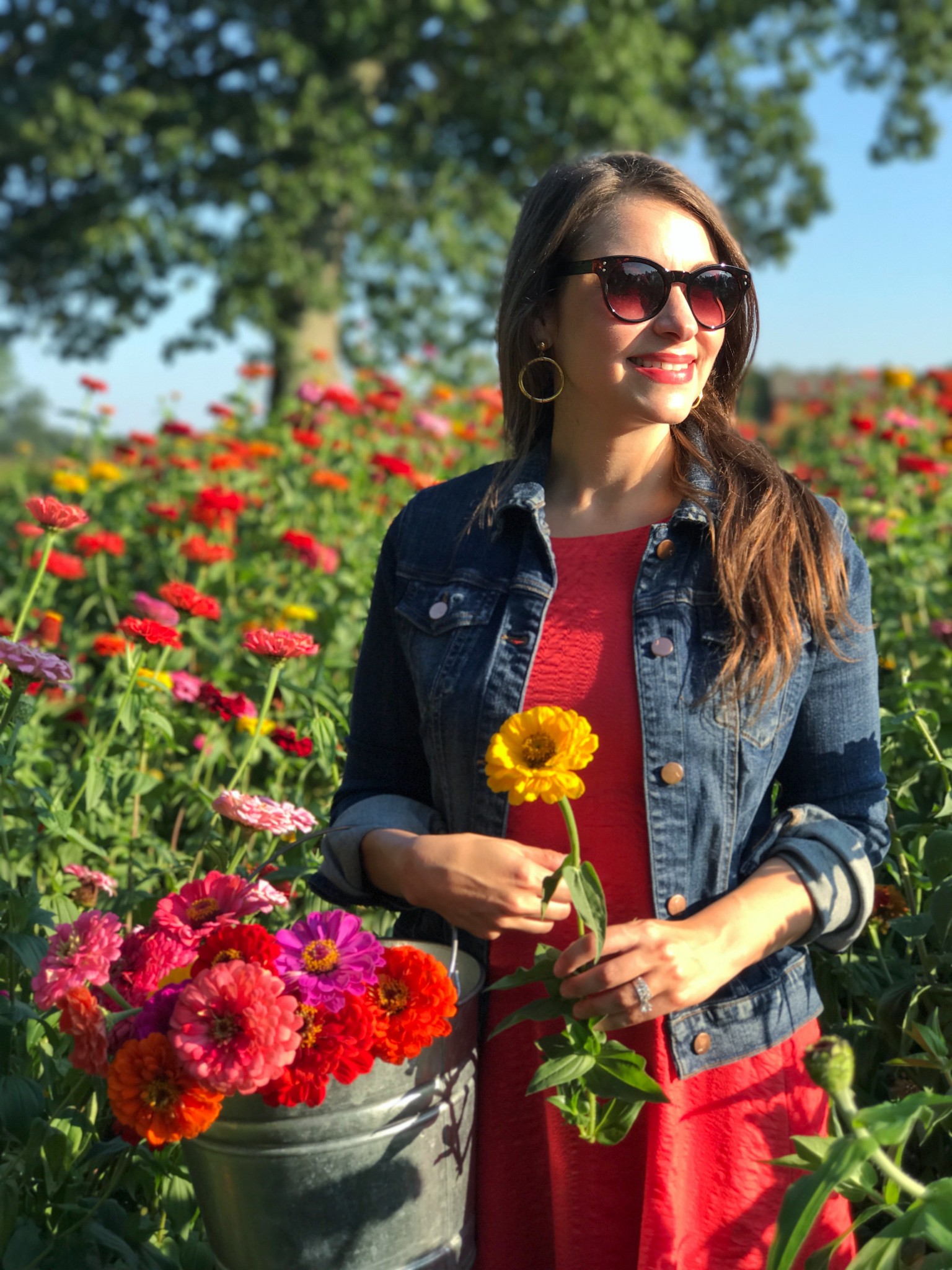 pick your flowers, parlee farms, flower farm, the-alyst.com