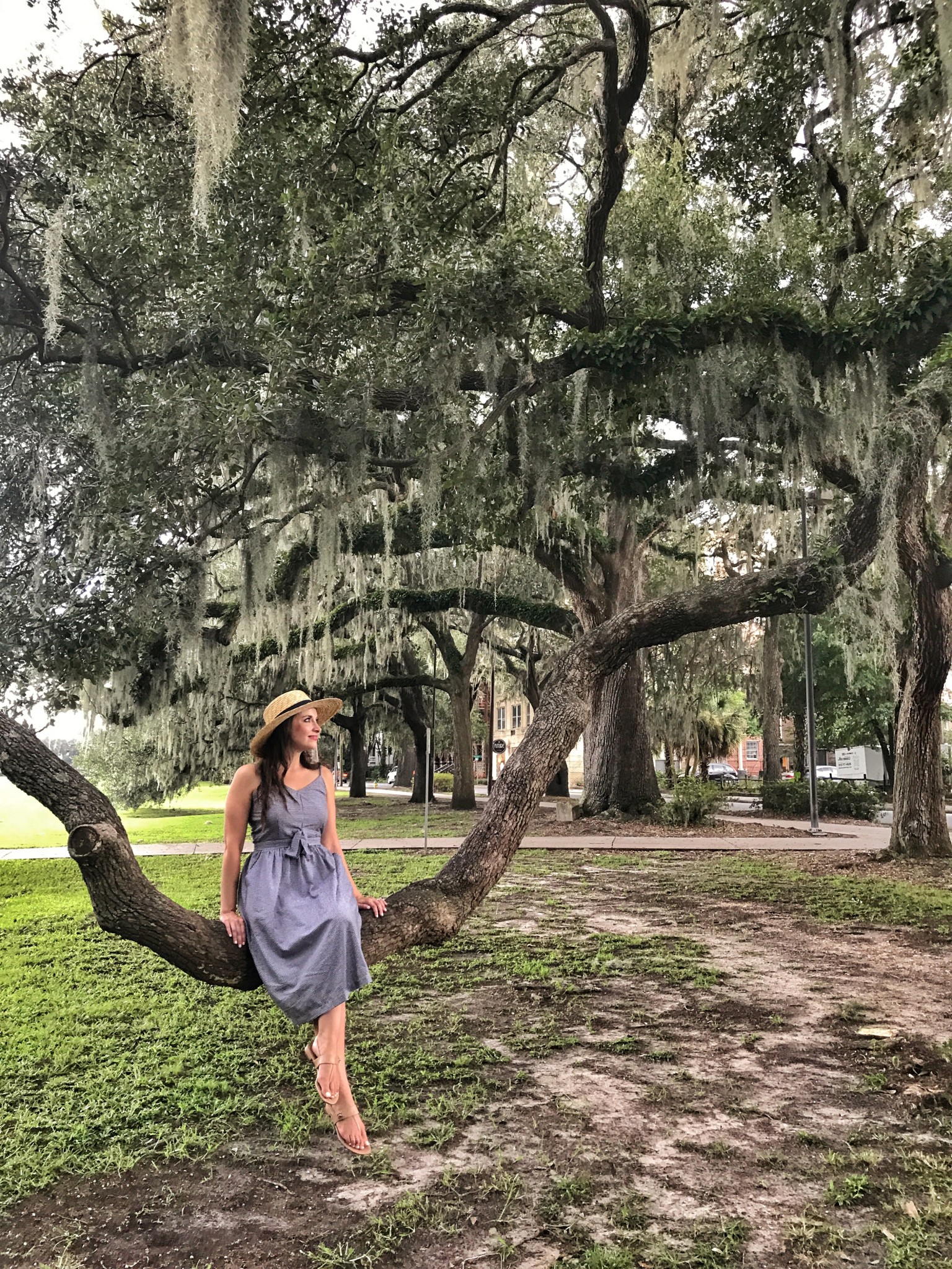 savannah, georgia, the-alyst.com