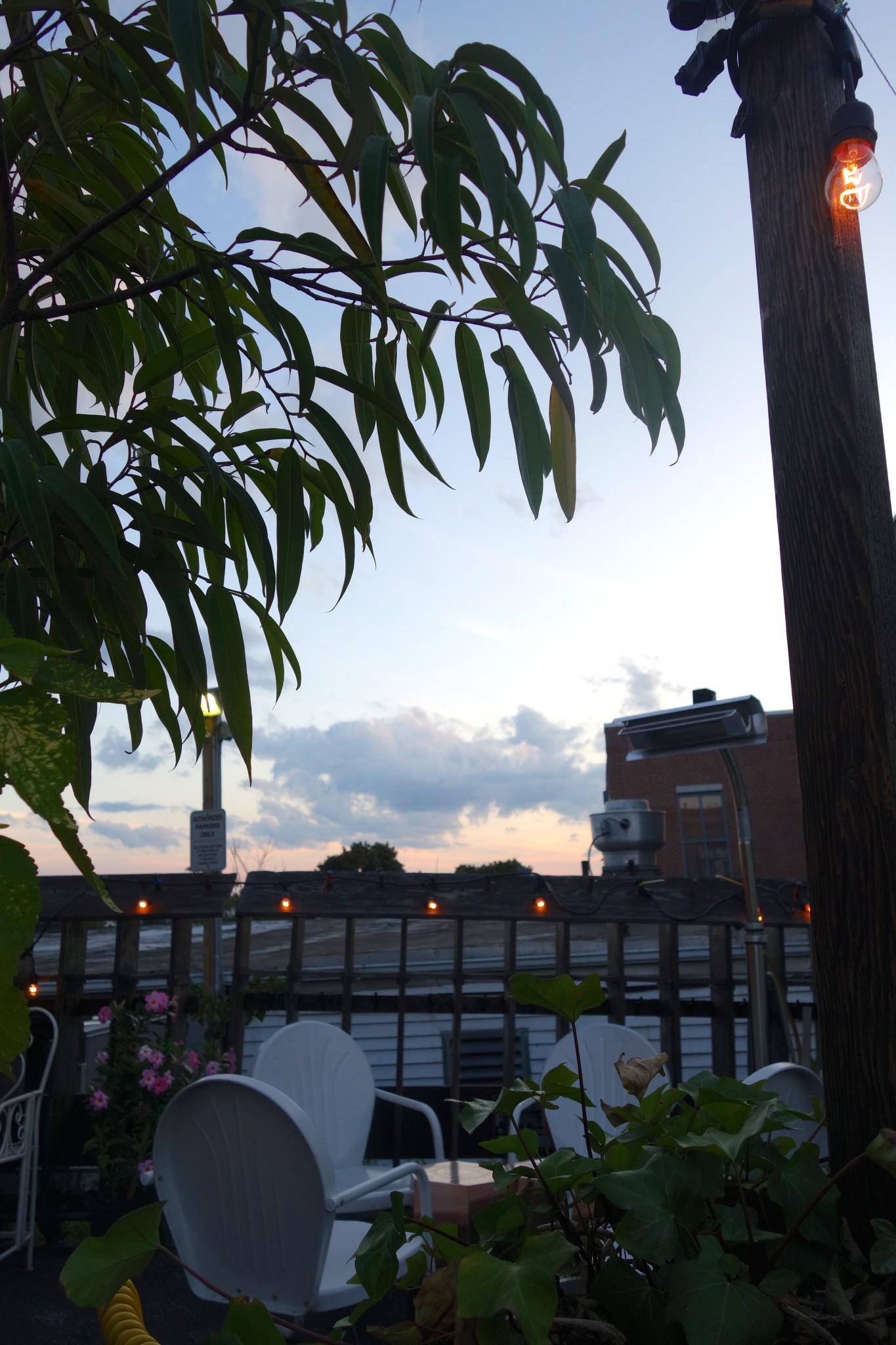 best restaurant patios in boston, daddy jones somerville, the-alyst.com
