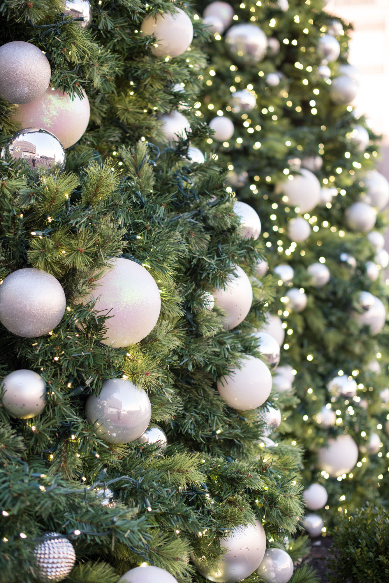 holiday decorations, christmas, boston, the-alyst.com