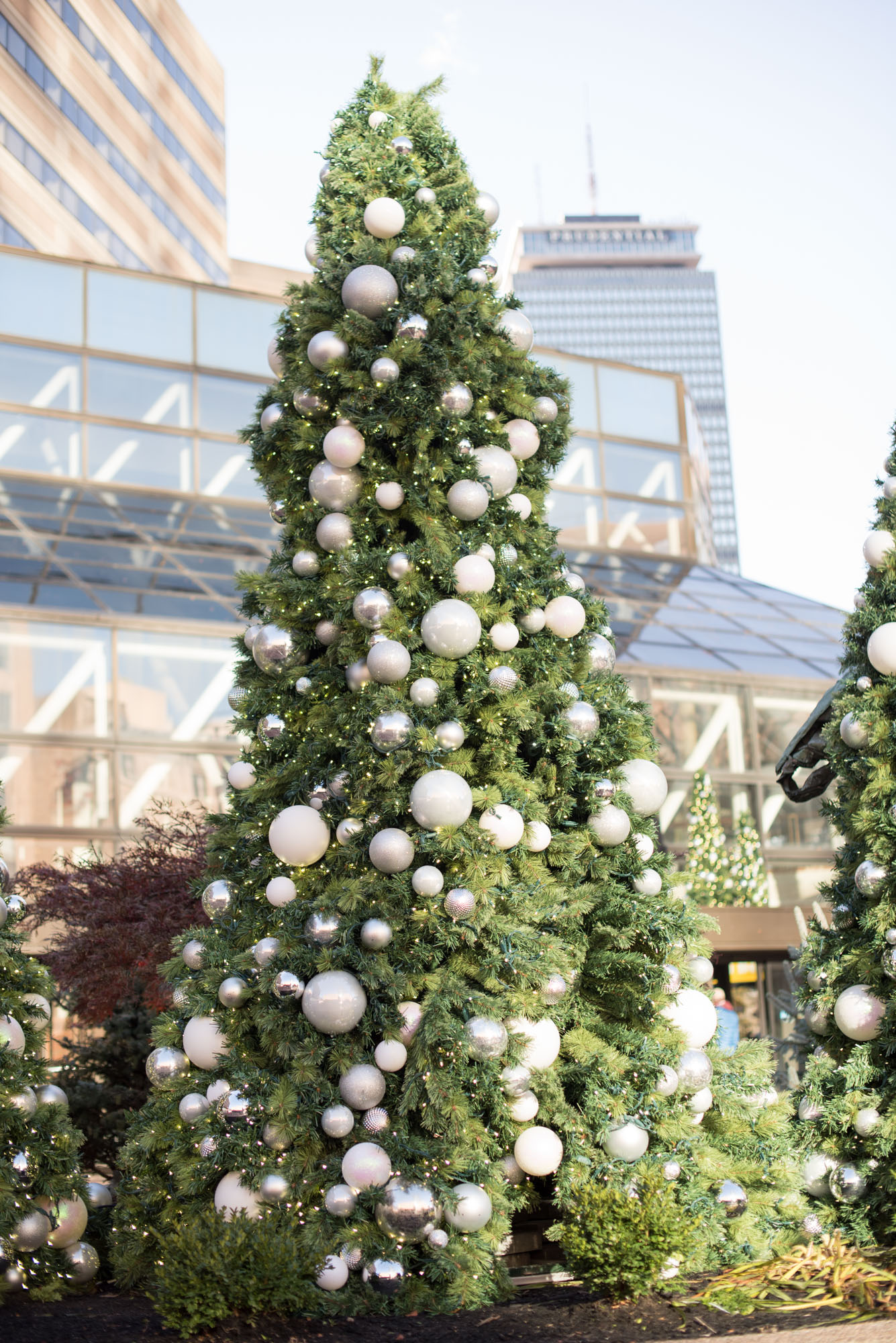 christmas in boston, the-alyst.com