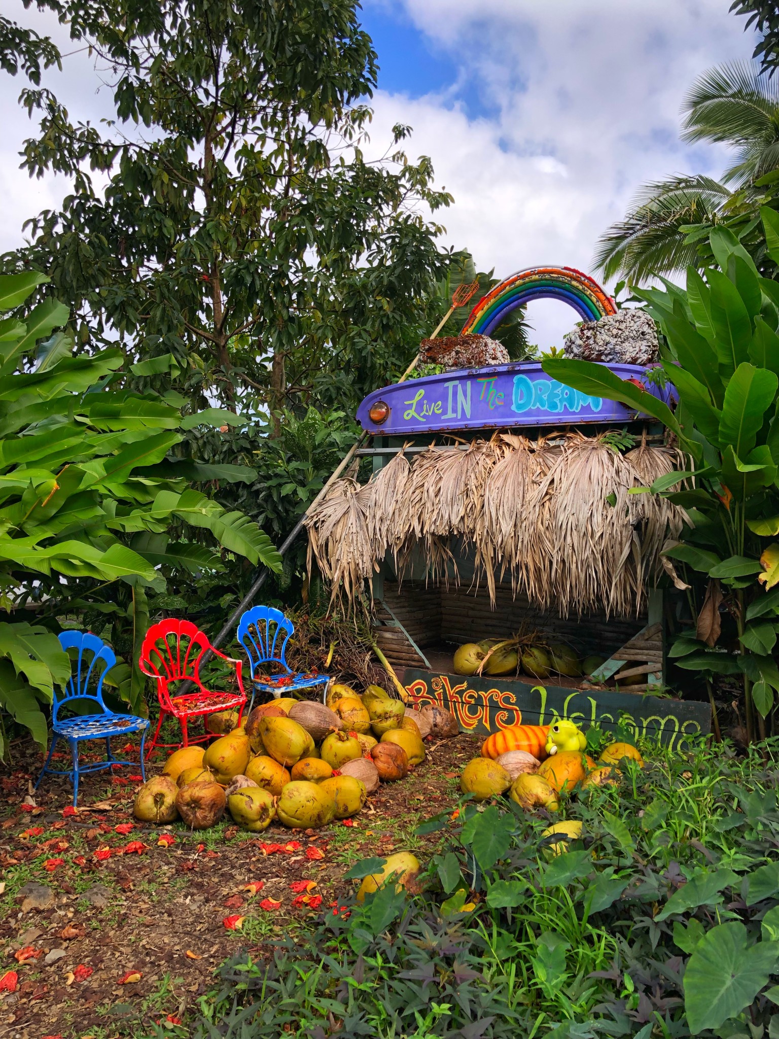 coconut glen's, road to hana, the-alyst.com