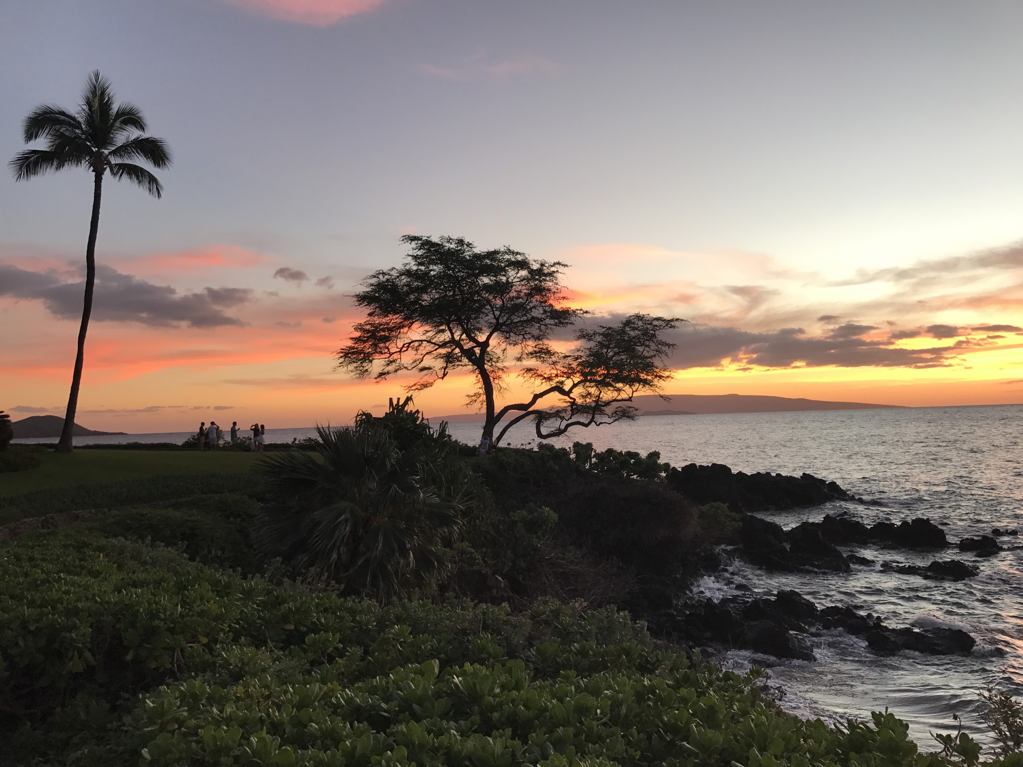 the four seasons resort maui at wailea, the-alyst.com