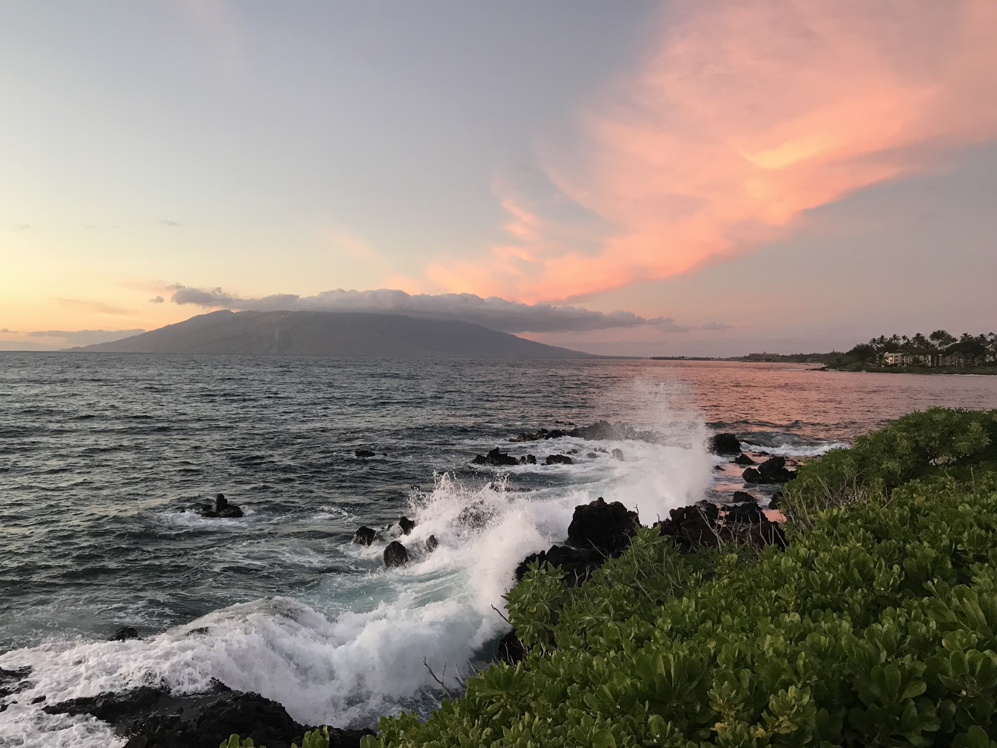 the four seasons resort maui at wailea, the-alyst.com