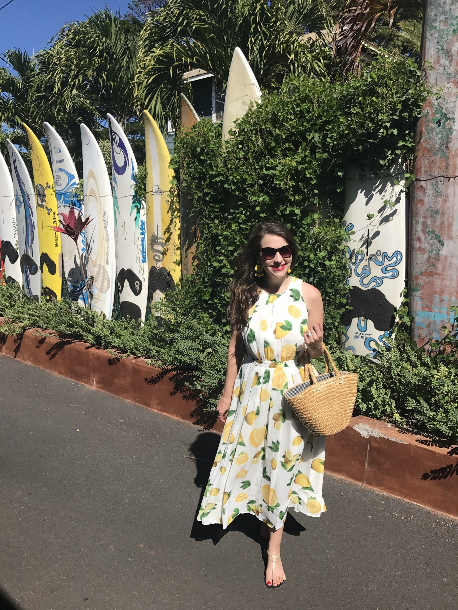 surfboard fence, paia town, maui, the-alyst.com