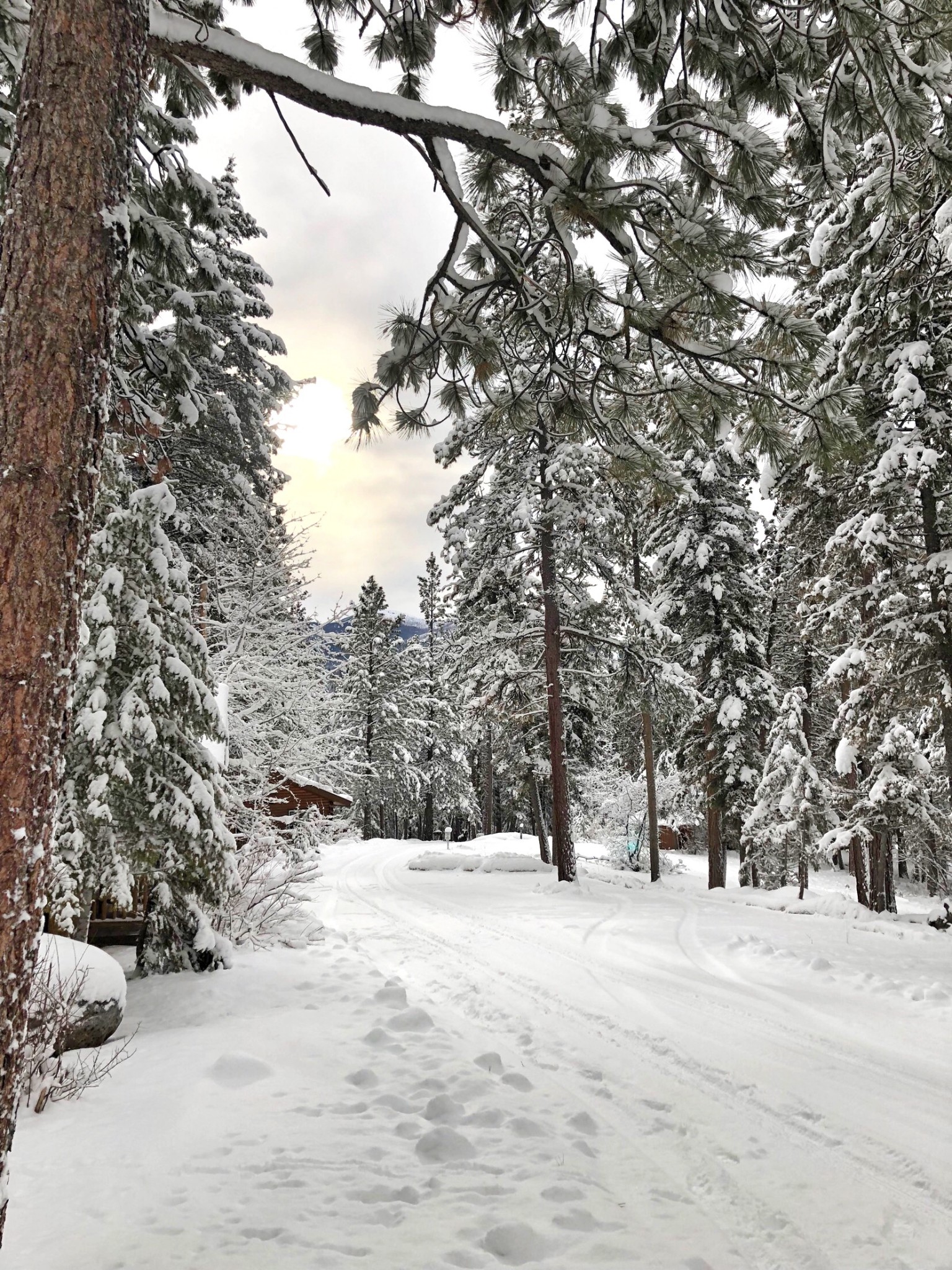 MONTANA, triple creek ranch, the-alyst.com