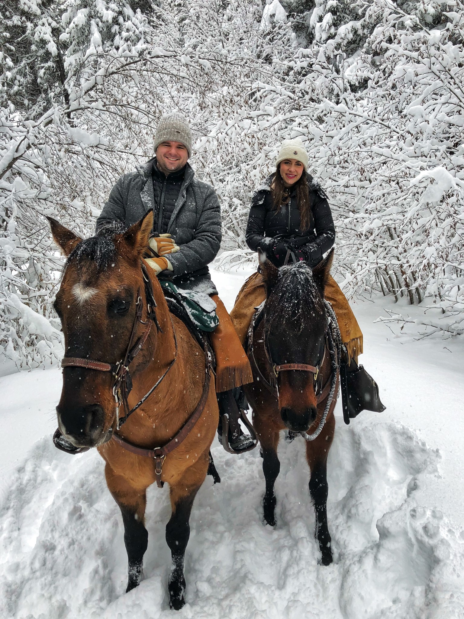 MONTANA, triple creek ranch, the-alyst.com