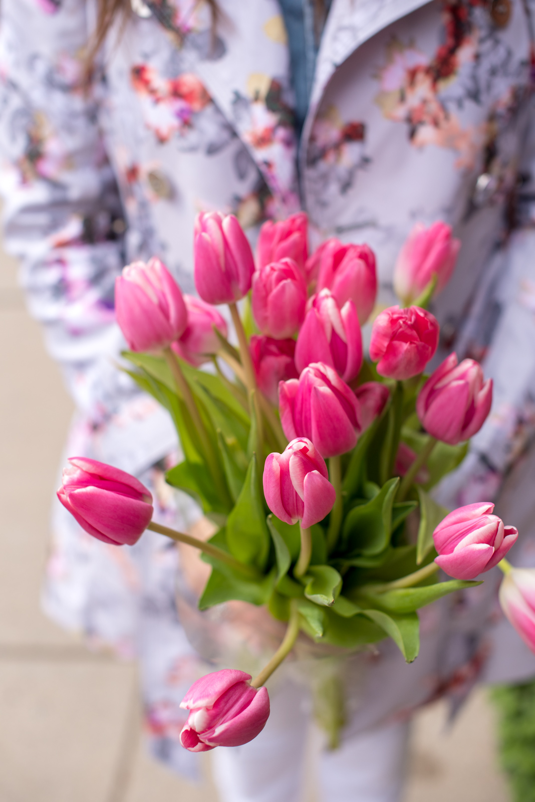 pink tulips, boston, the-alyst.com