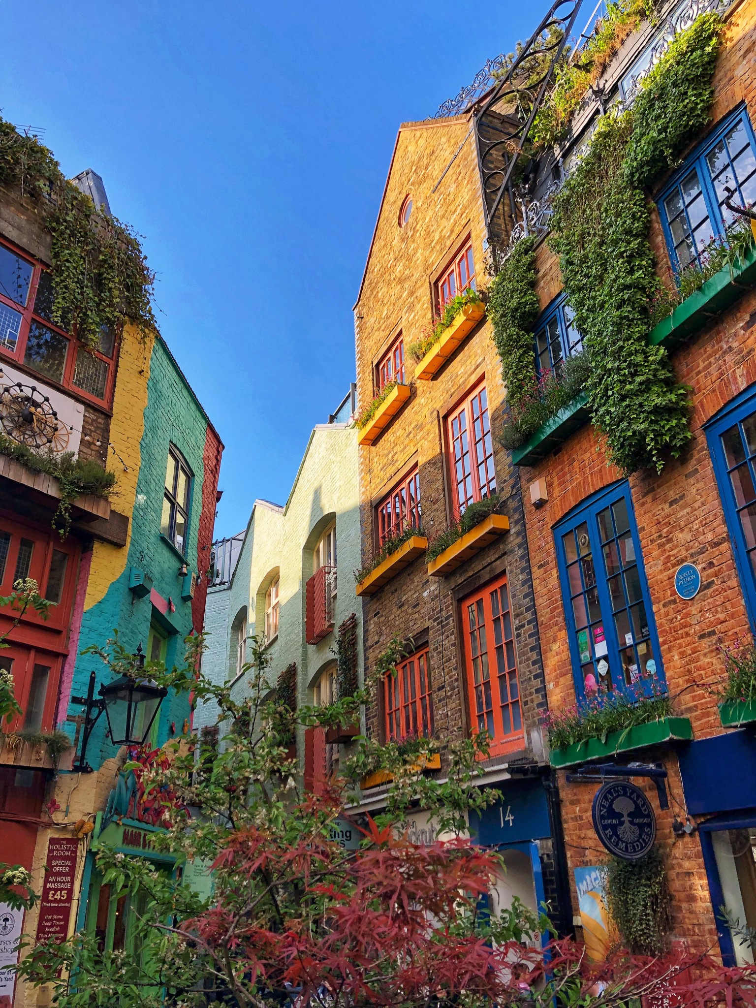 neal's yard, london, most instagrammable places in london, the-alyst.com