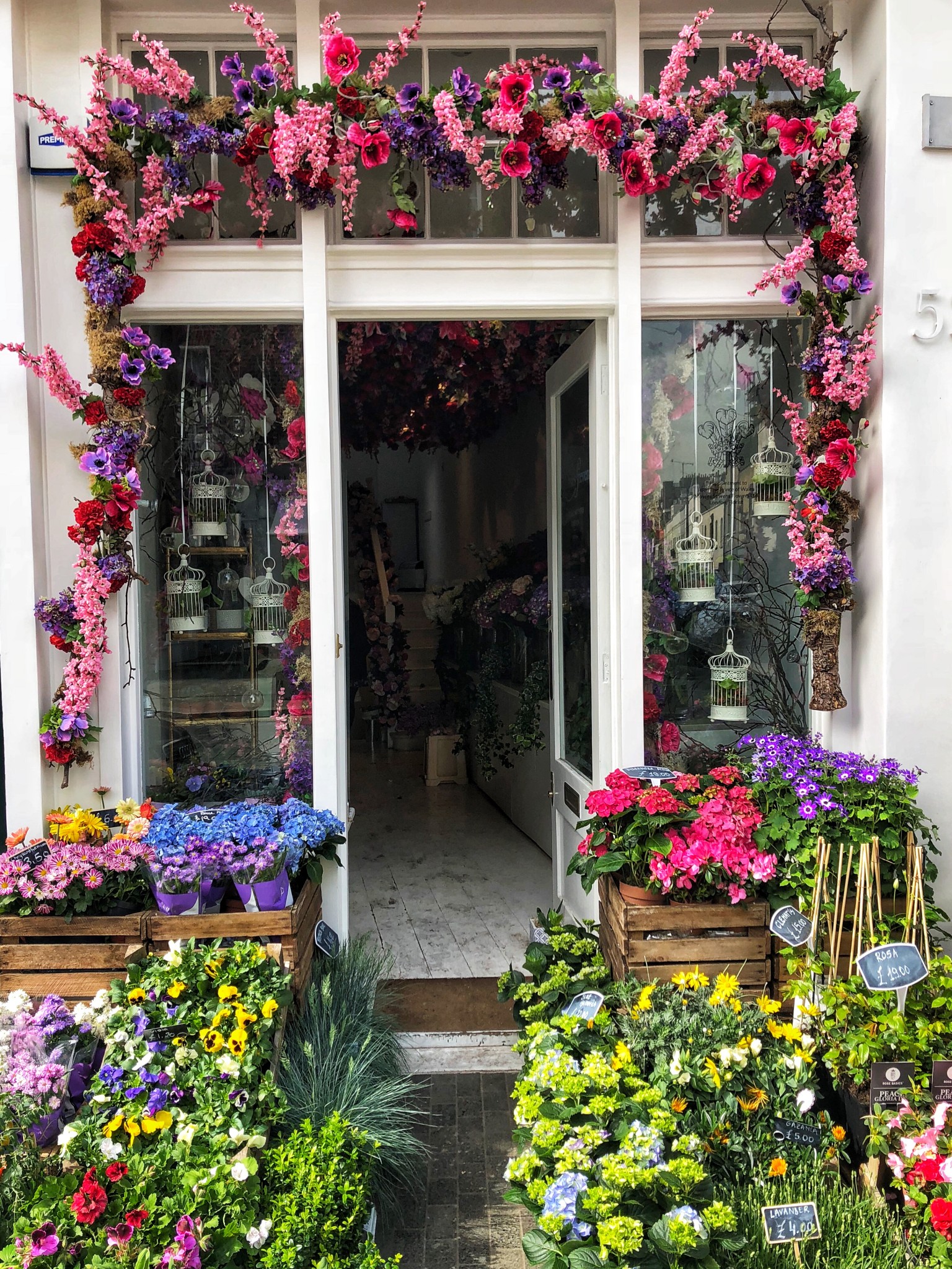 elizabeth street, belgravia, most instagrammable places in london, the-alyst.com