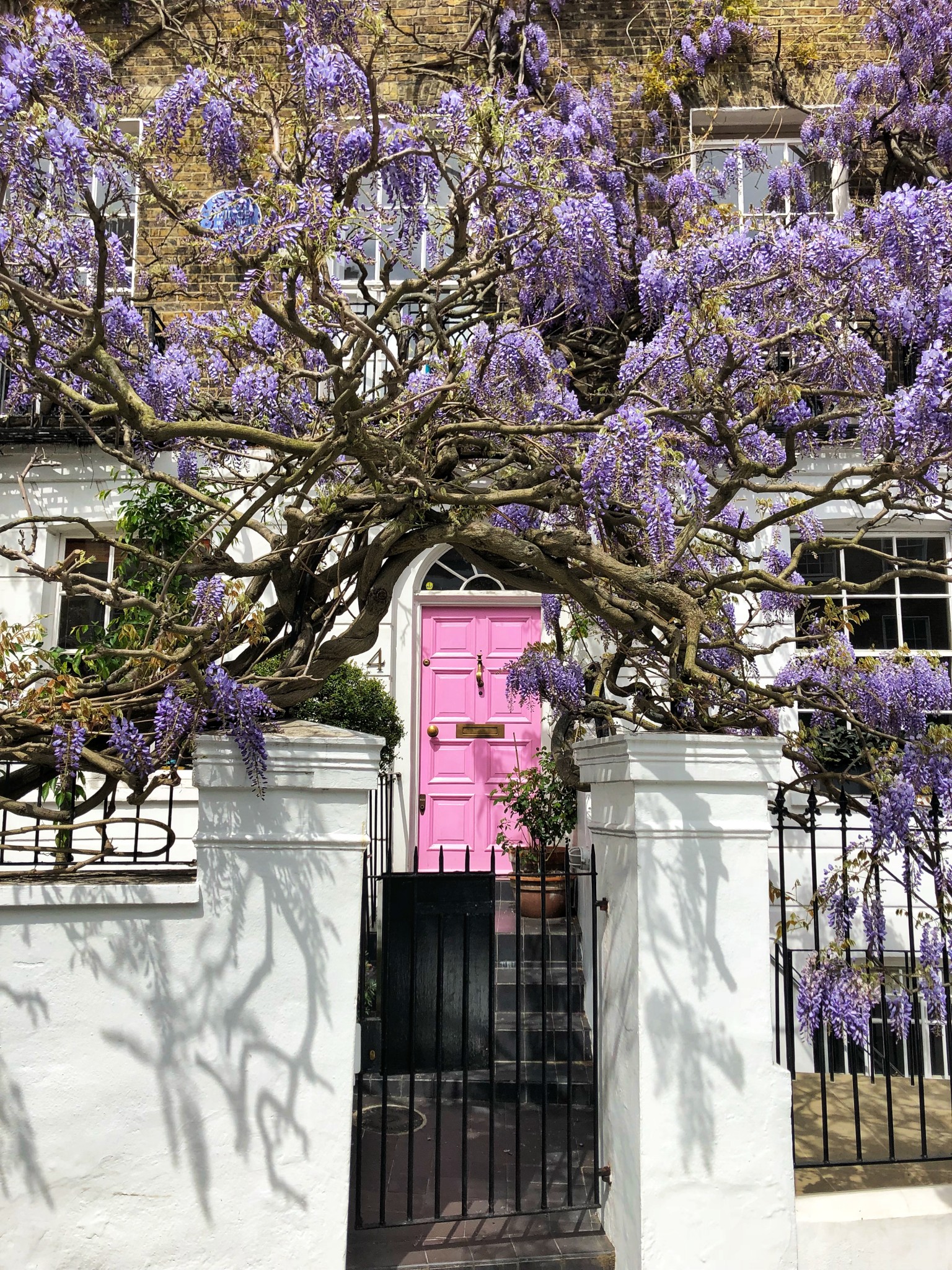 wisteria london, most instagrammable places in london, the-alyst.com