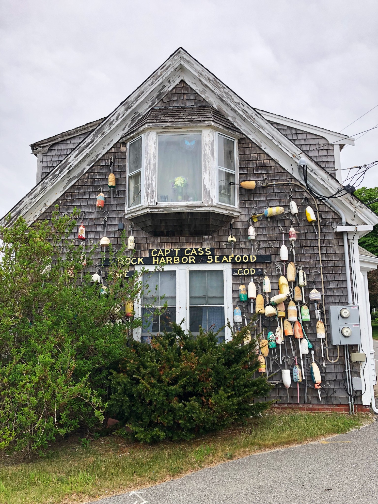 rock harbor cape cod, the-alyst.com
