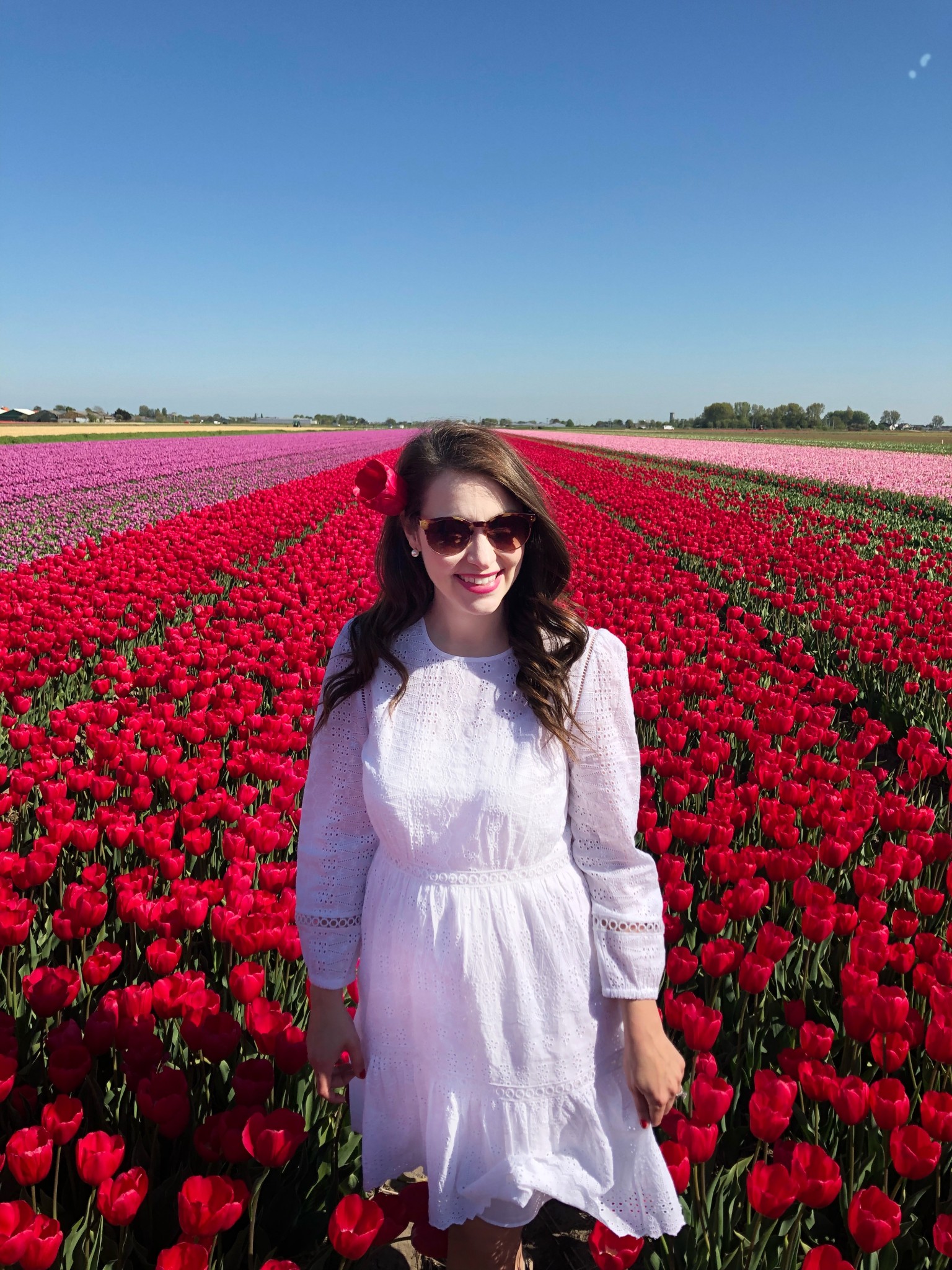 tulip fields netherlands, lisse, the-alyst.com