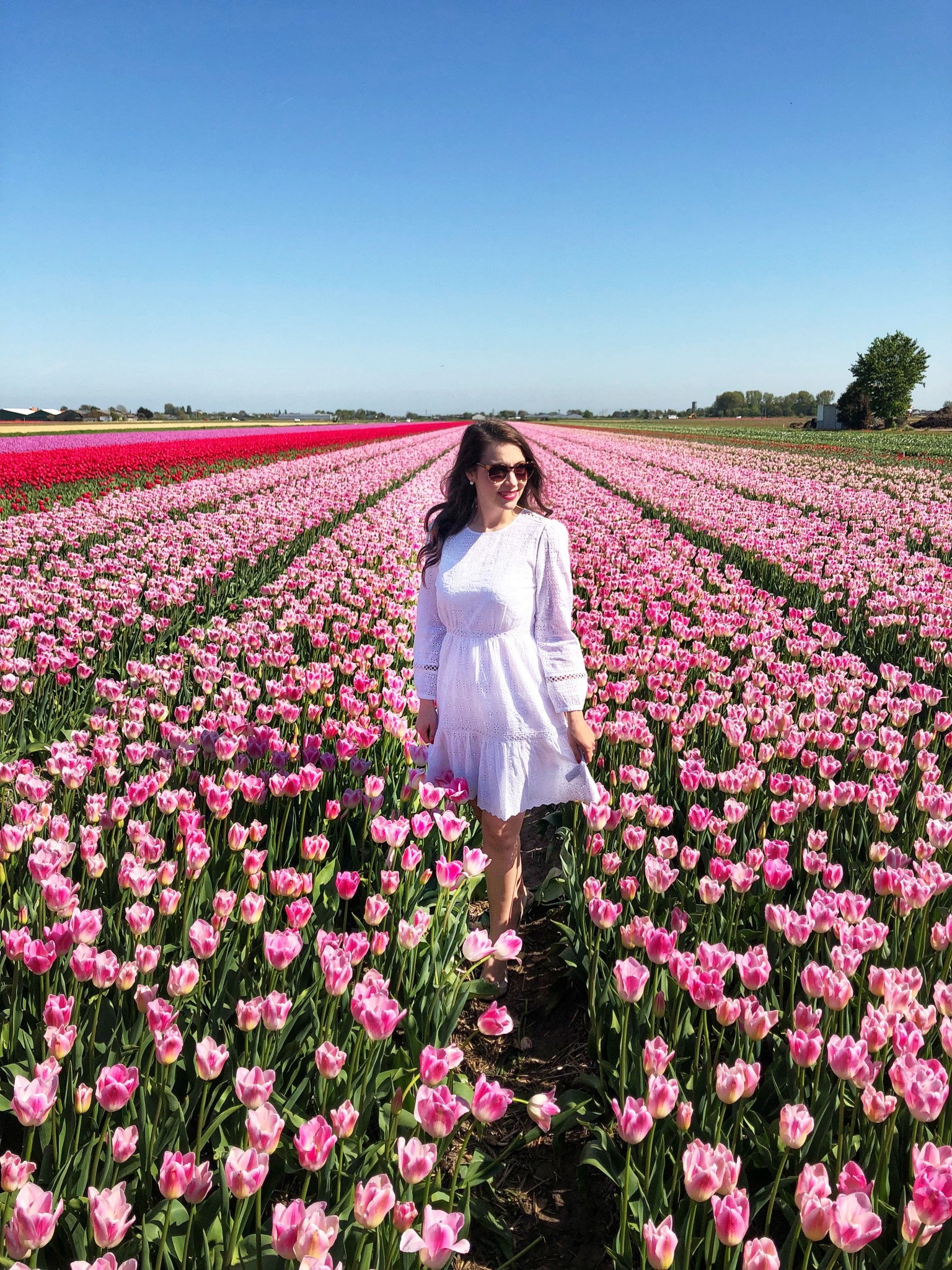 tulip fields netherlands, lisse, the-alyst.com