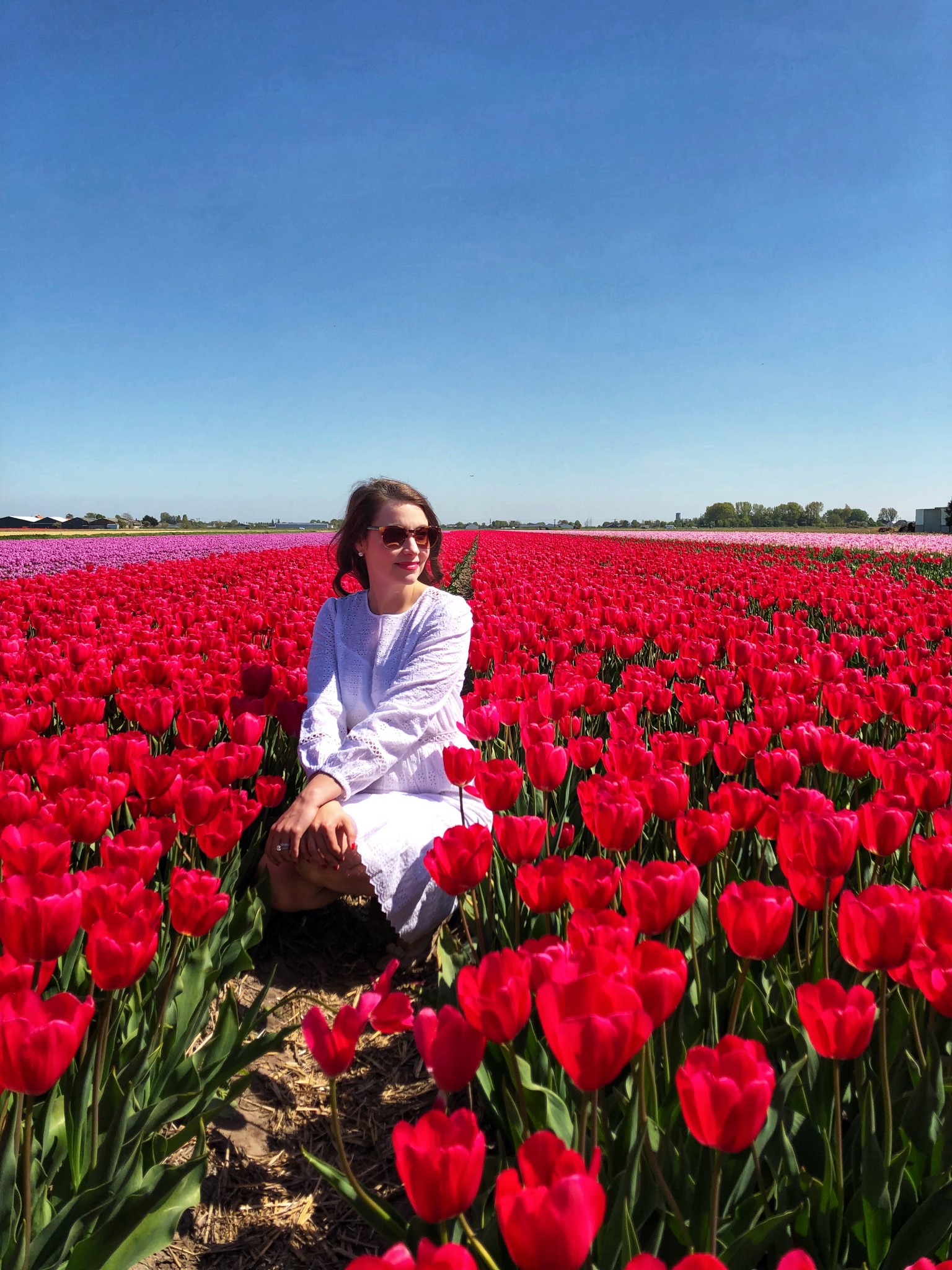 tulip fields netherlands, lisse, the-alyst.com