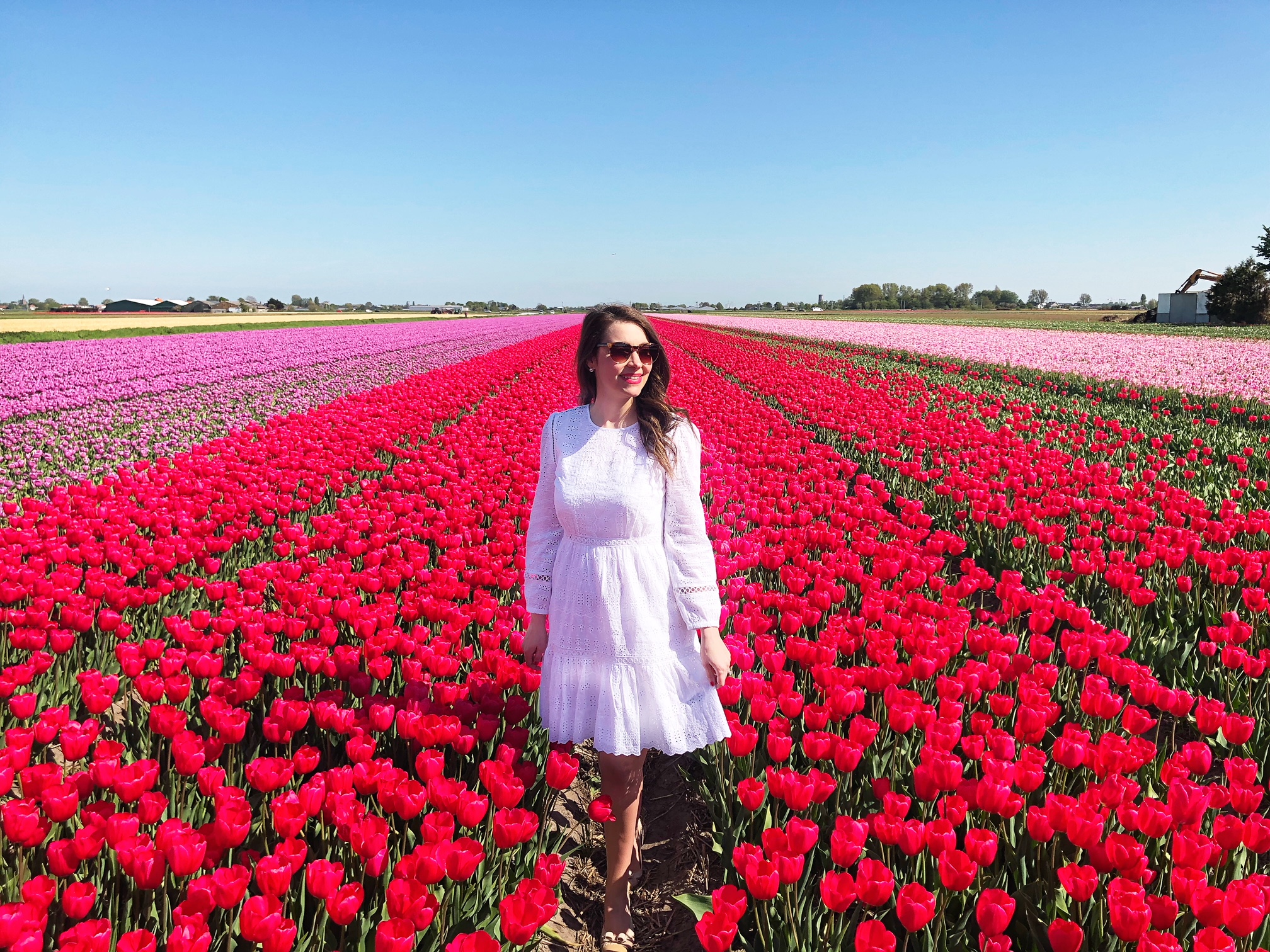 Travel Spotlight Visiting the Tulip Fields in the Netherlands The A