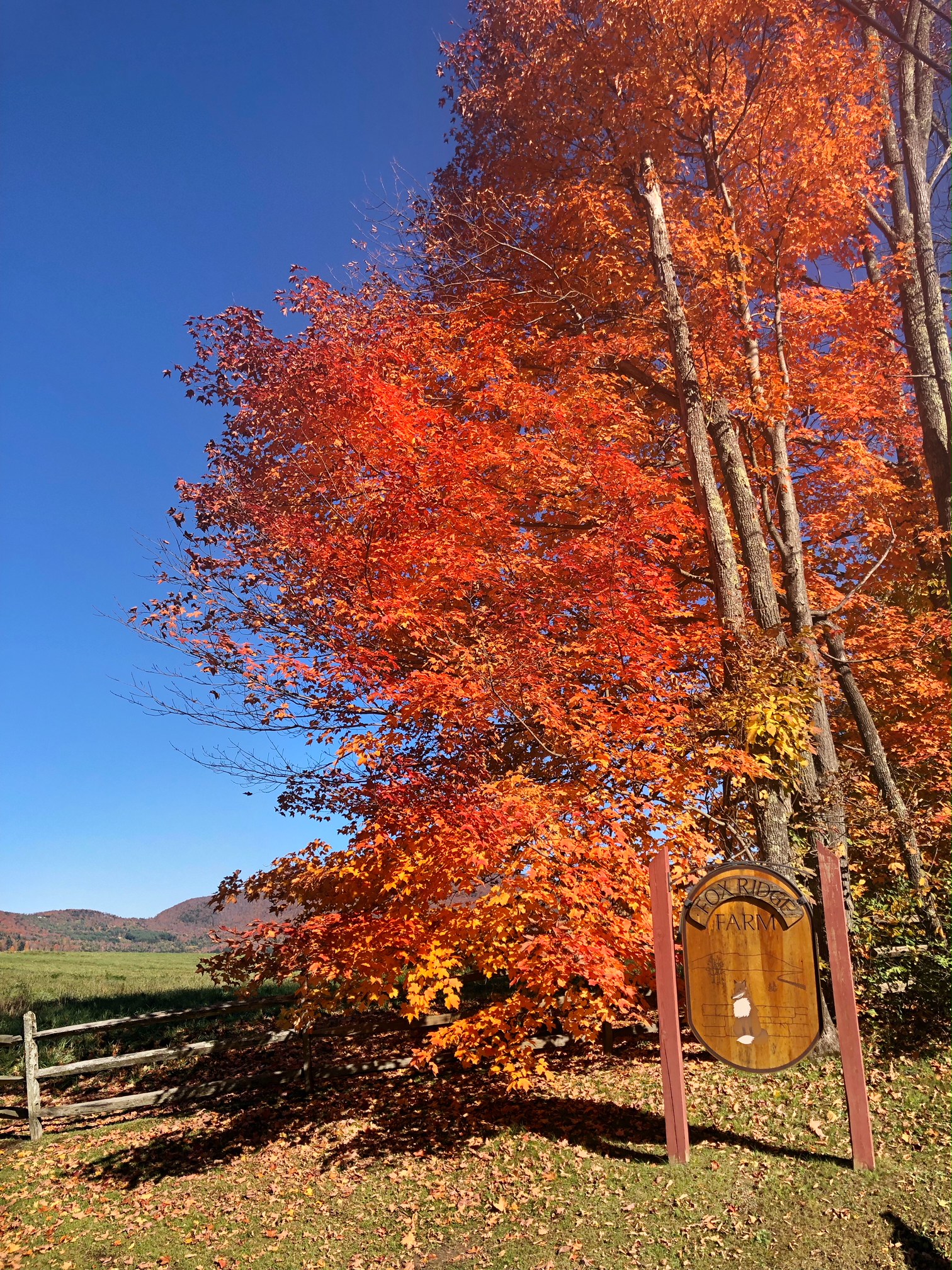stowe, vermont, the-alyst.com