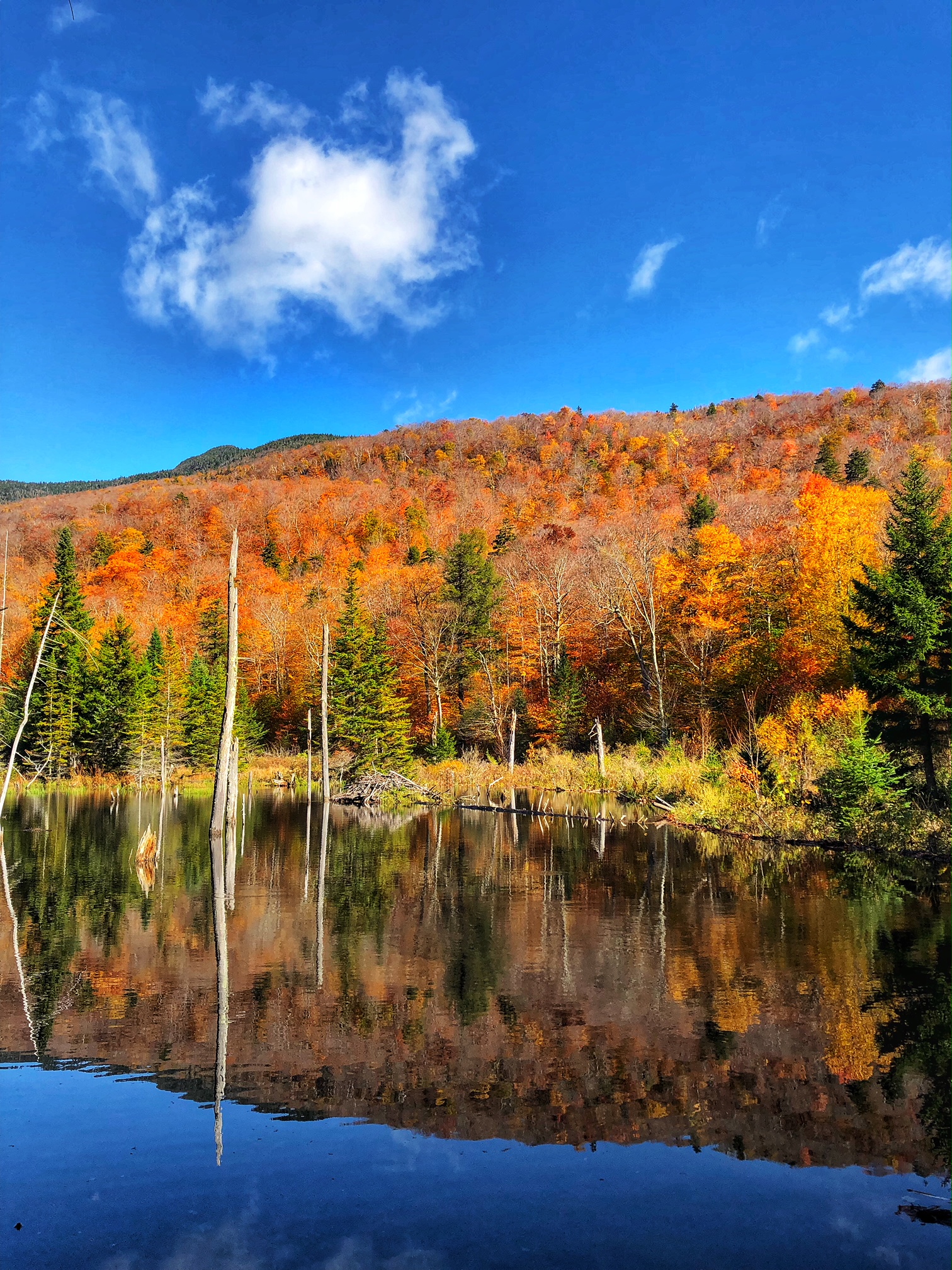 stowe, vermont, the-alyst.com