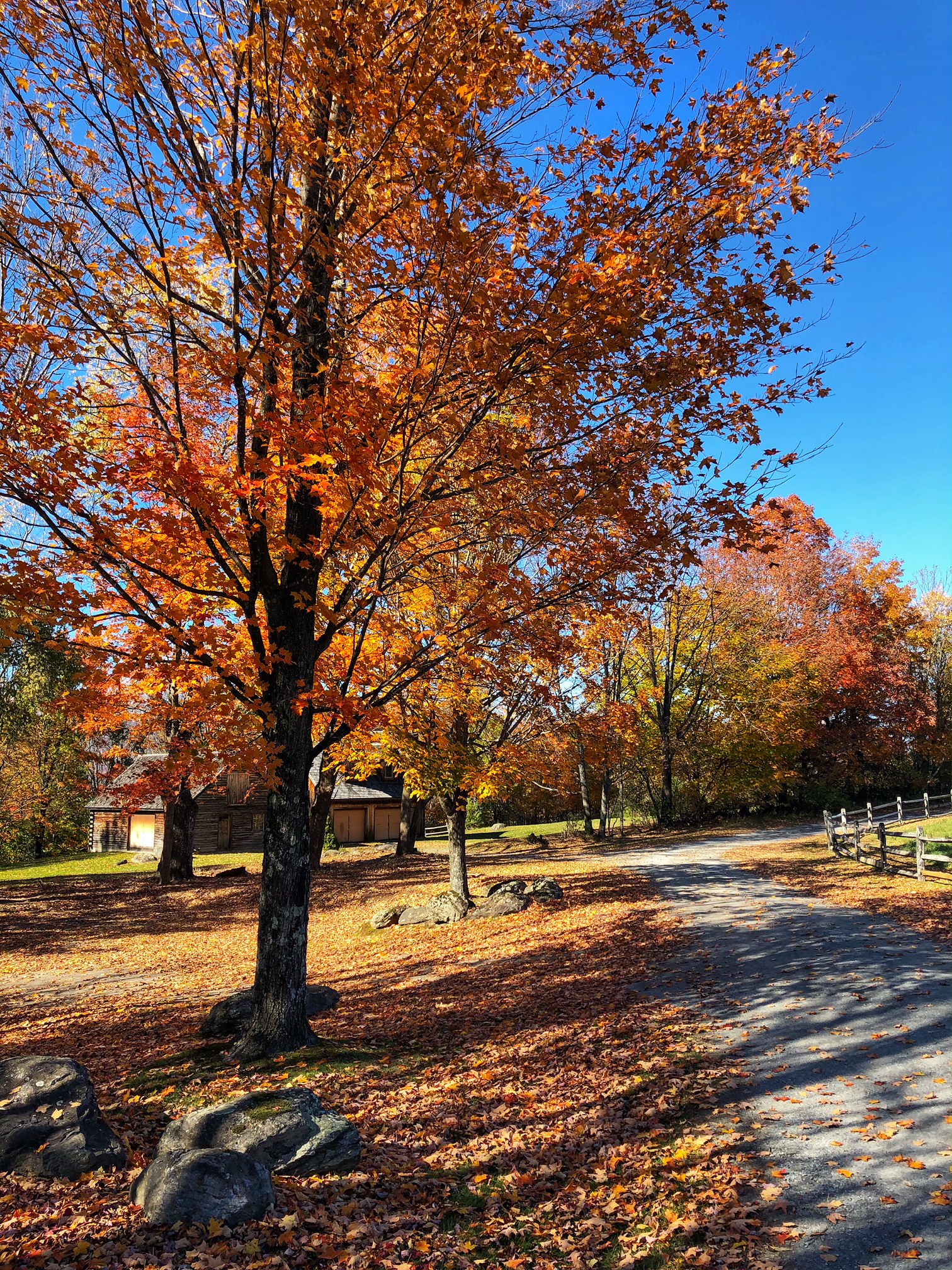 stowe, vermont, the-alyst.com