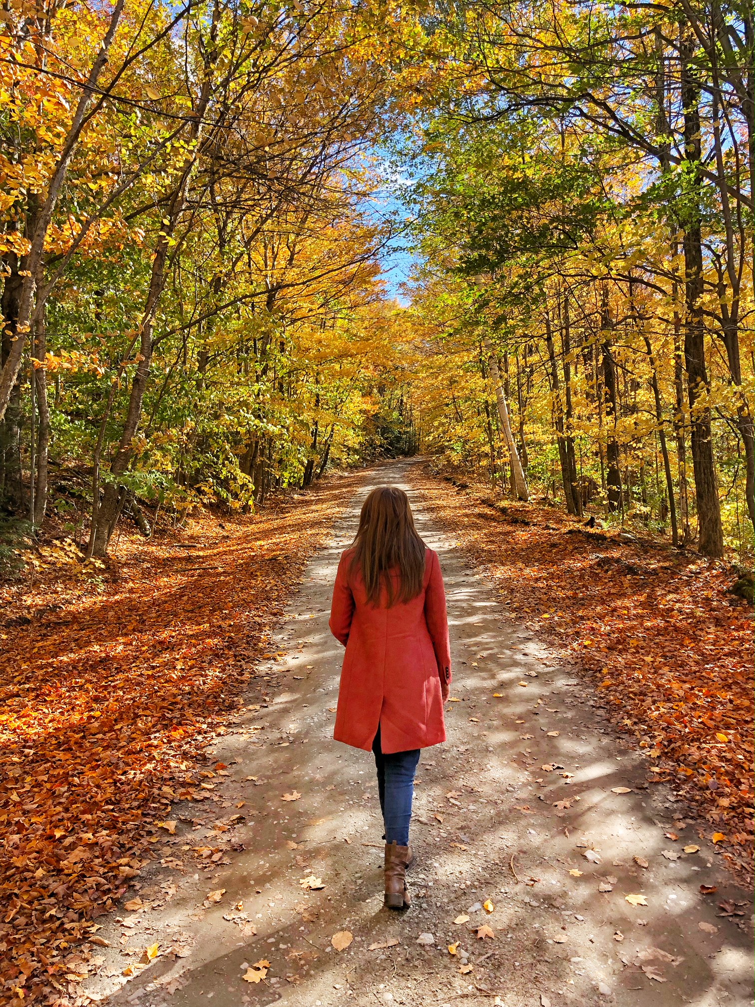 stowe, vermont, the-alyst.com