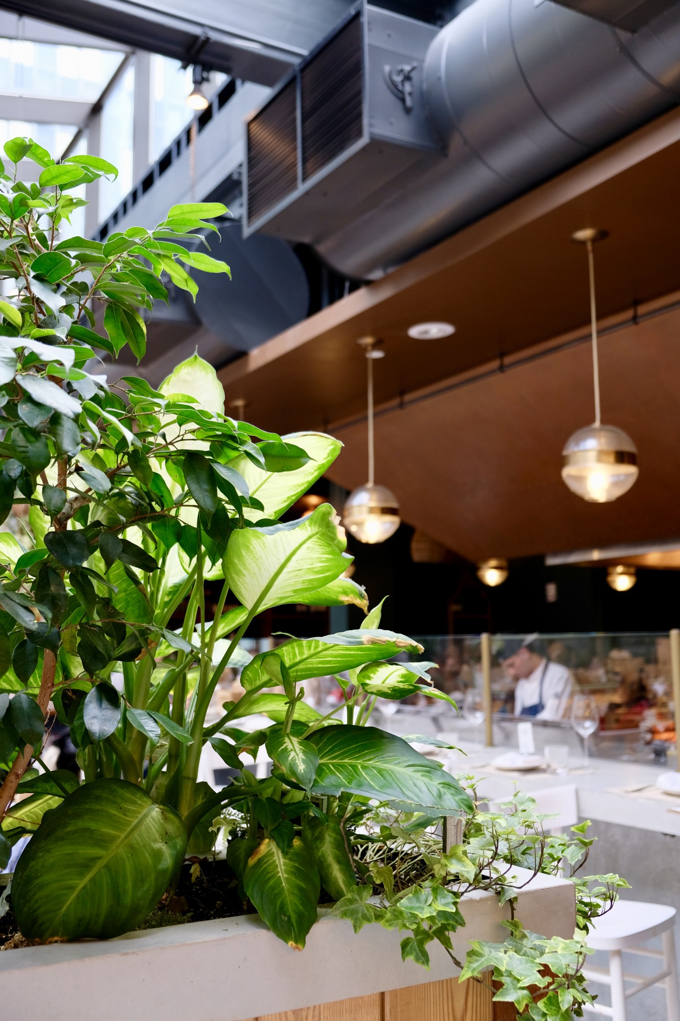 terra eataly boston, beautiful restaurants in boston, the-alyst.com