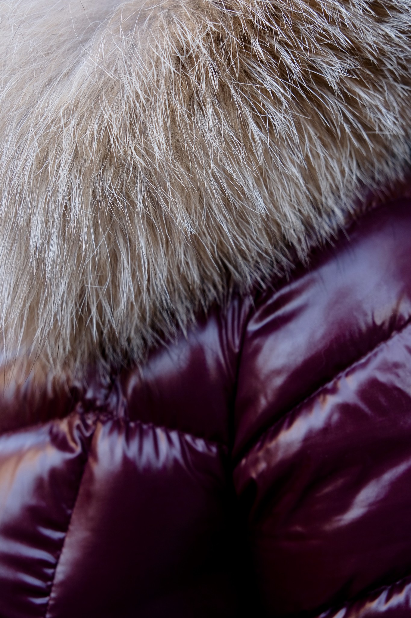 Moncler Fulmar, designer winter coat, the-alyst.com