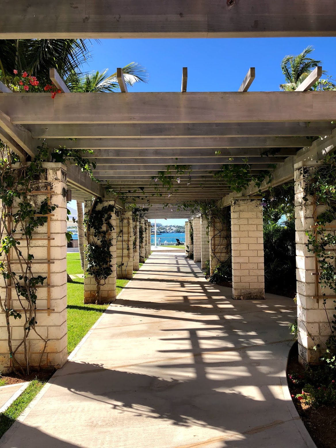princess hamilton bermuda, the-alyst.com