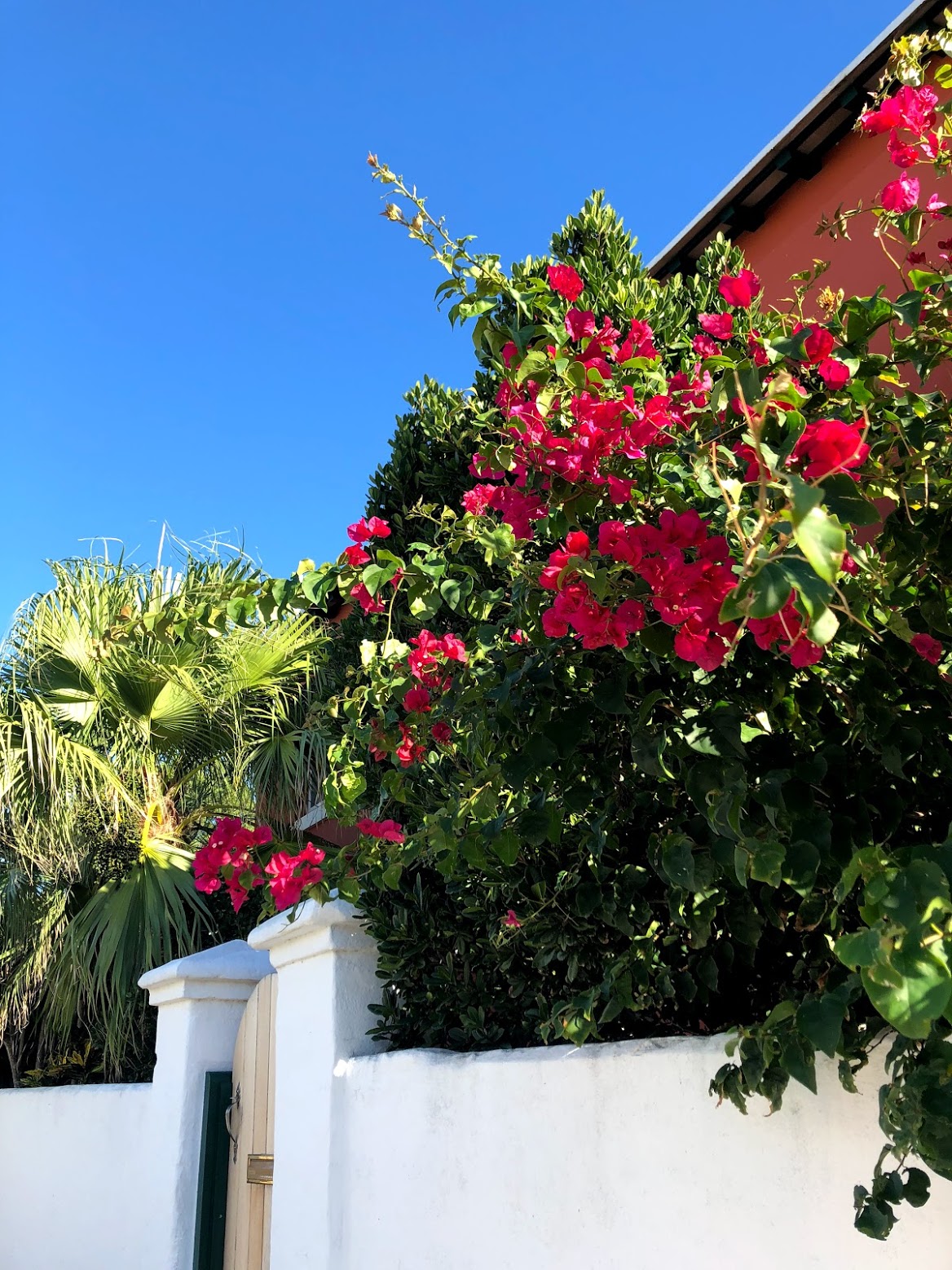 bermuda, the-alyst.com
