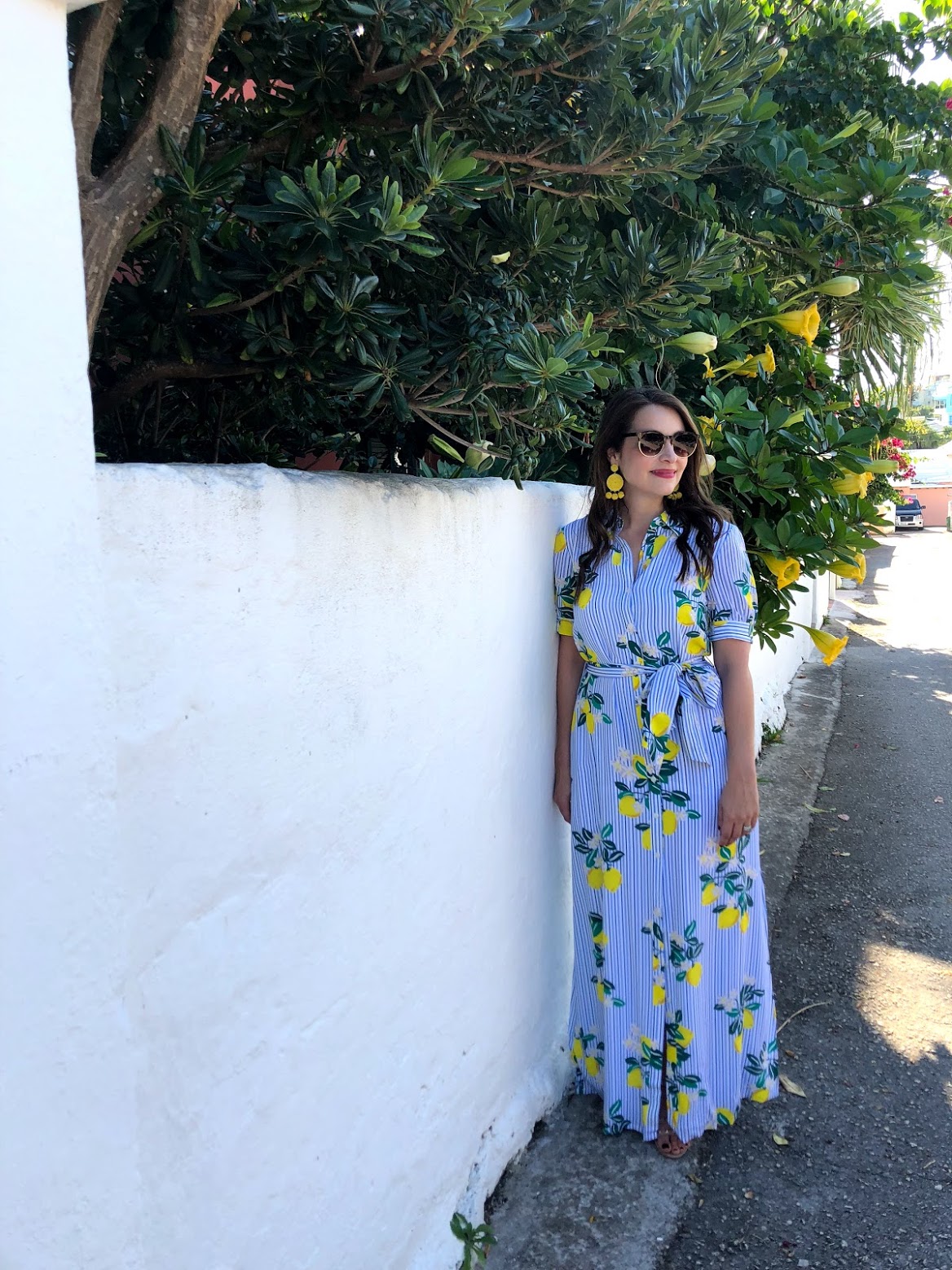 bermuda, the-alyst.com