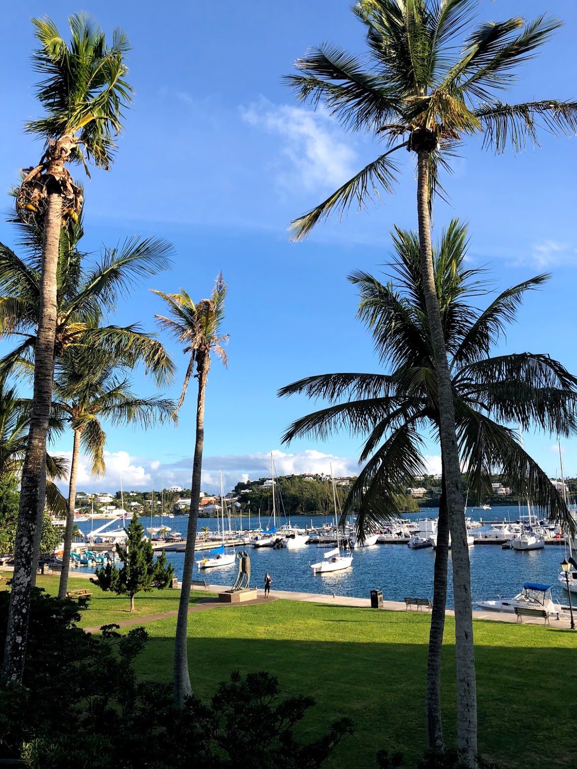 hamilton, bermuda, the-alyst.com