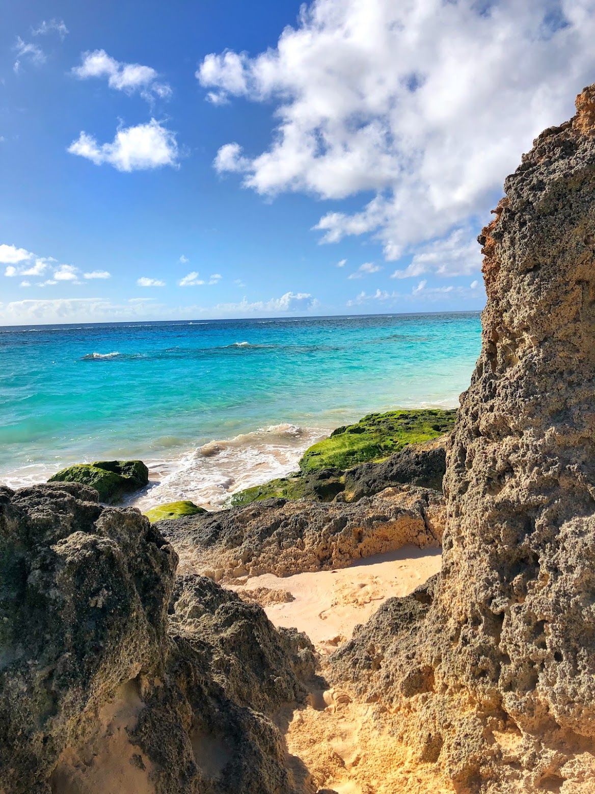 elbow beach, bermuda, the-alyst.com