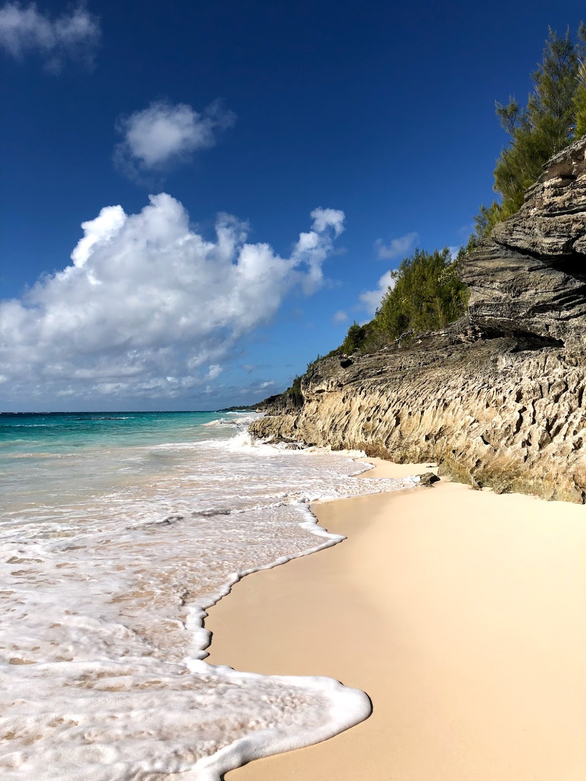 elbow beach, bermuda, the-alyst.com