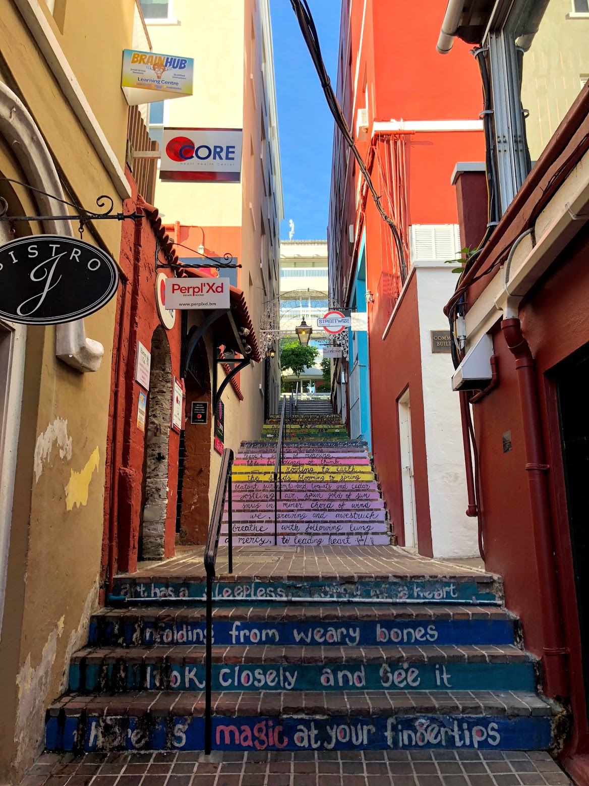 hamilton bermuda, the-alyst.com