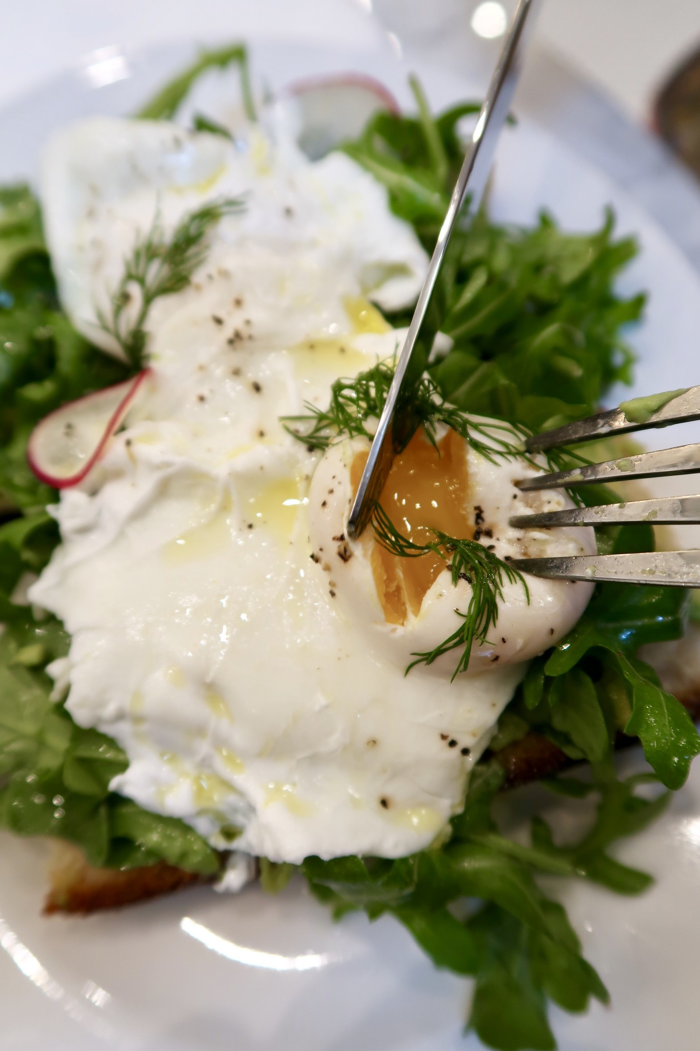 the best avocado toast in boston, the-alyst.com