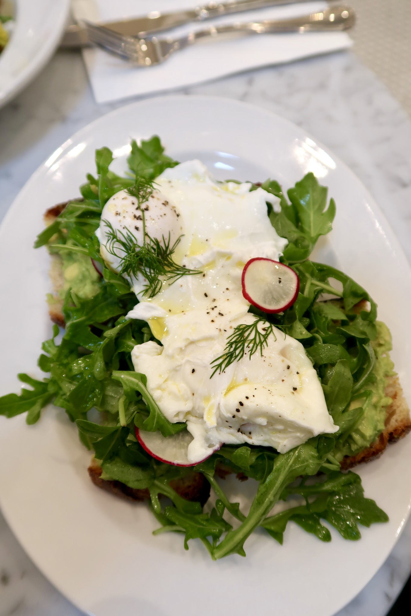 the best avocado toast in boston, the-alyst.com
