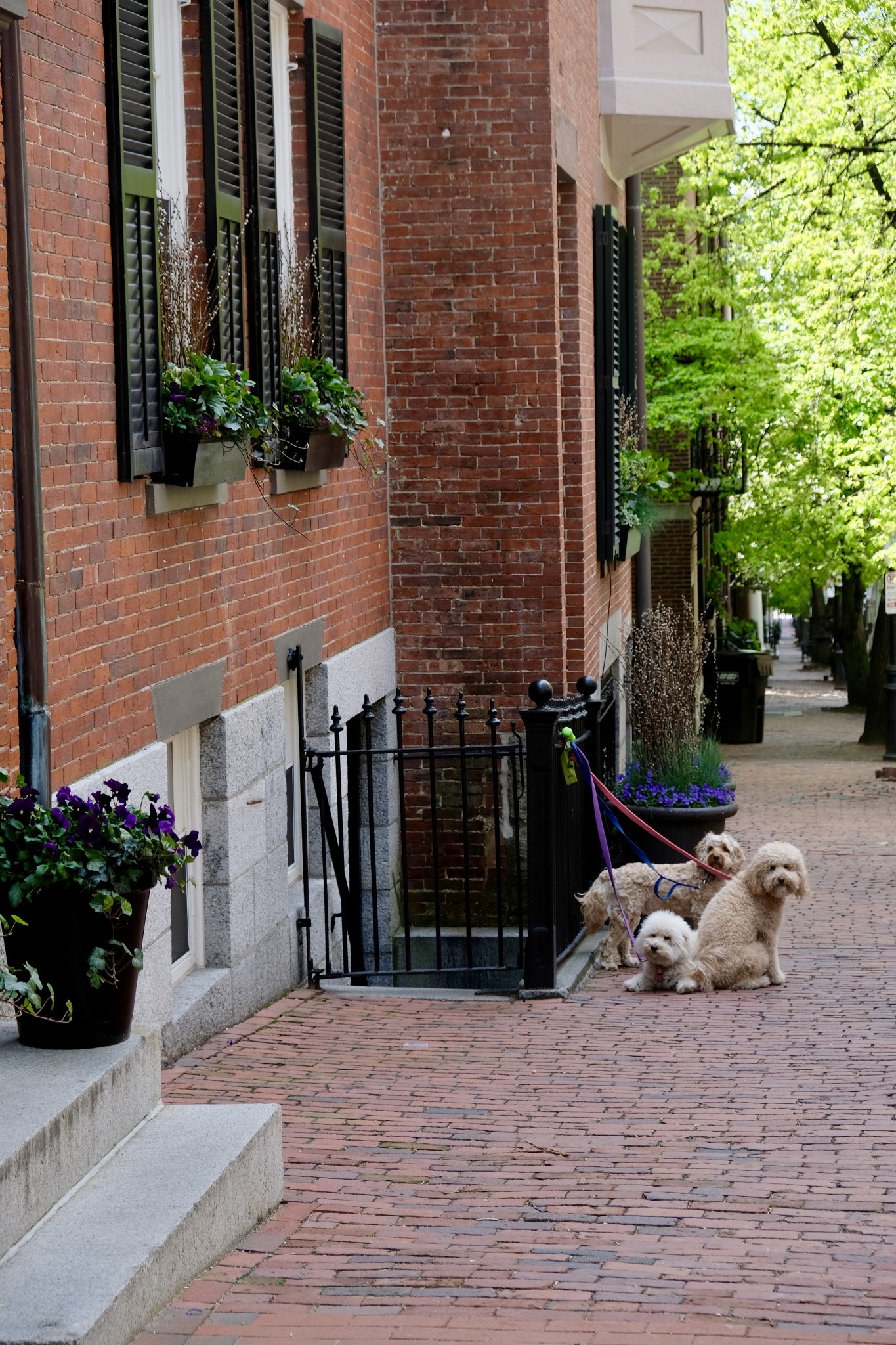 beacon hill boston, the-alyst.com