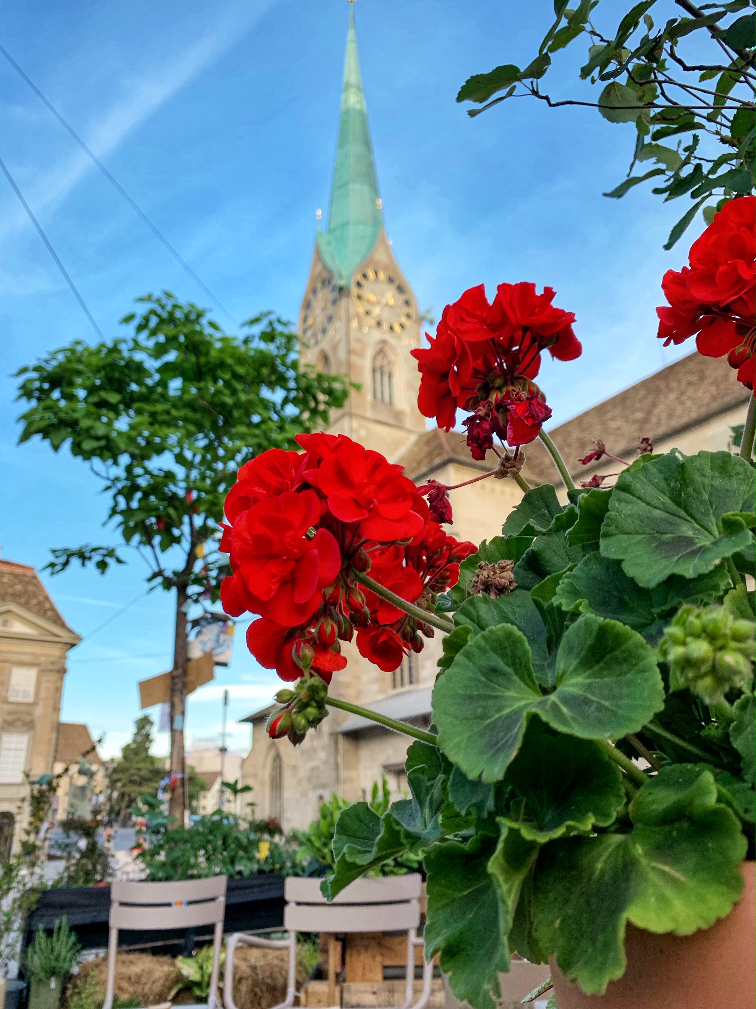 zurich, switzerland, the-alyst.com